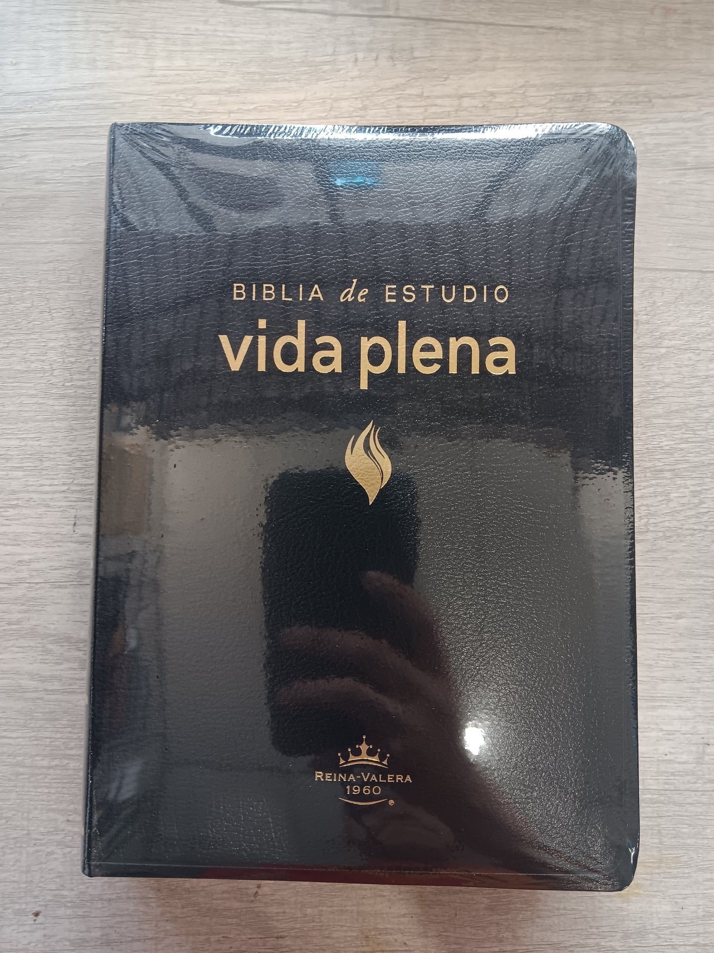 Biblia De Estudio Vida Plena