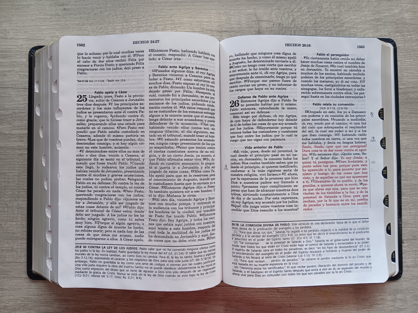 Biblia De Estudio Vida Plena