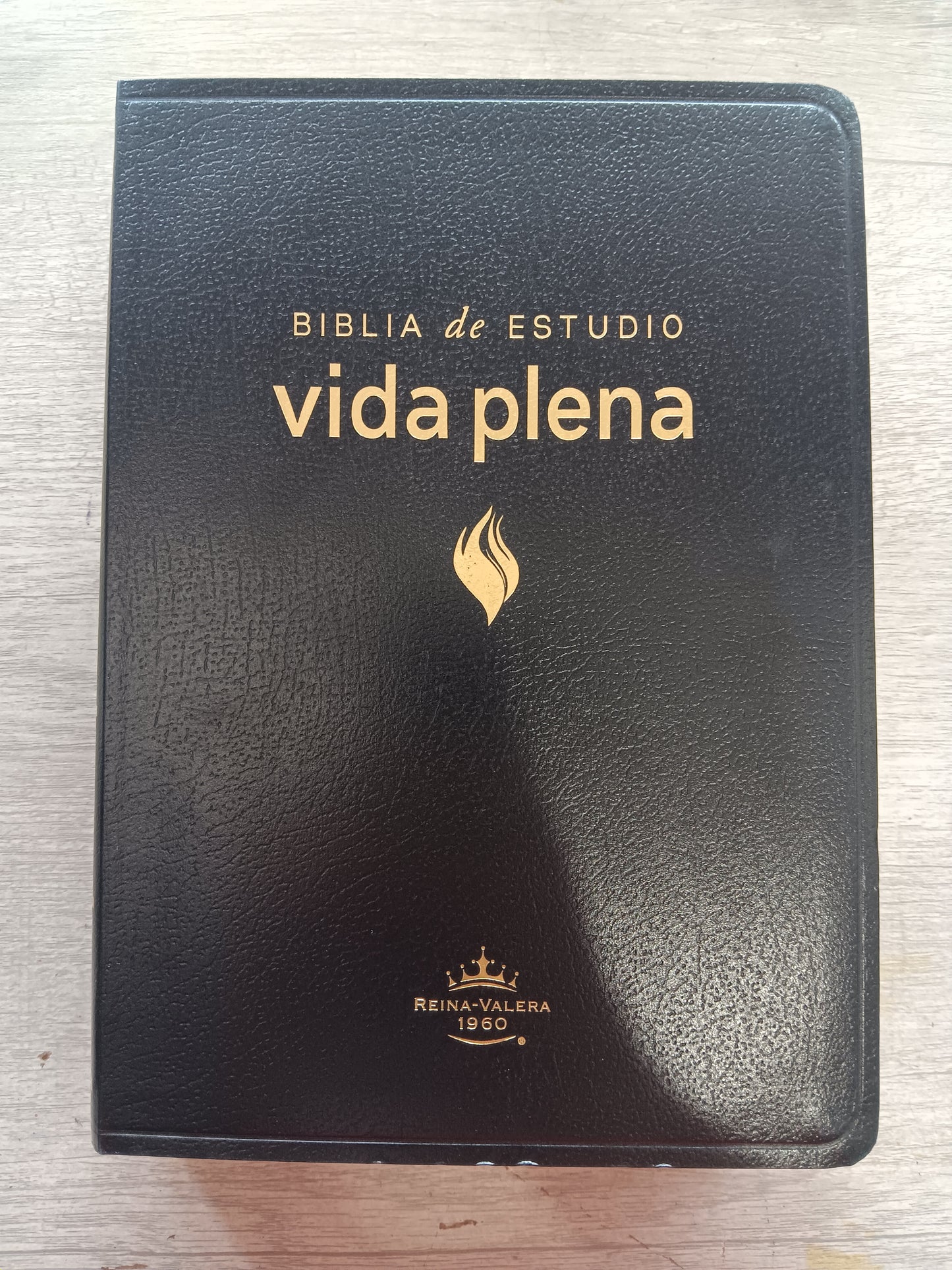 Biblia De Estudio Vida Plena