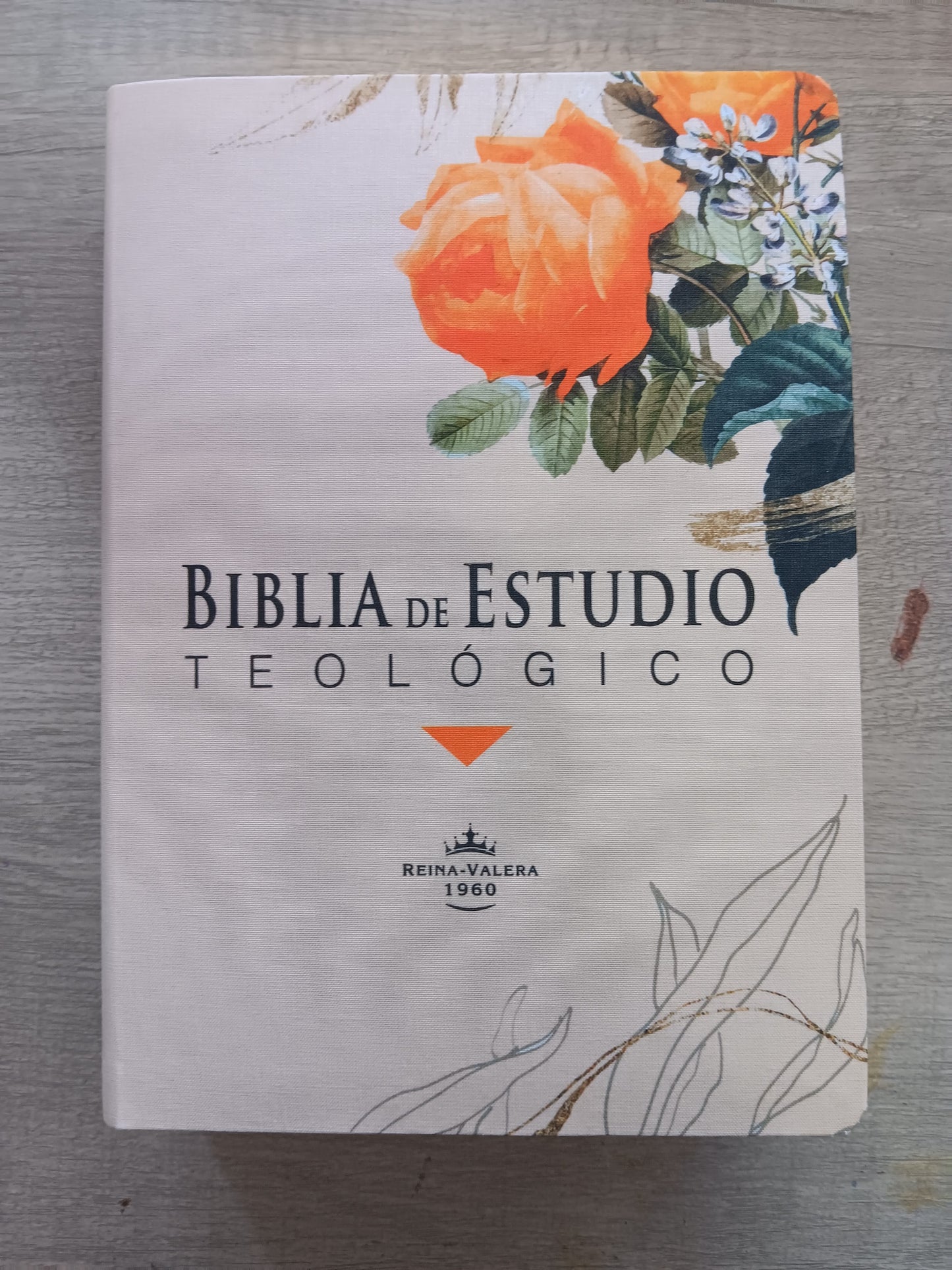 Biblia de Estudio Teologico