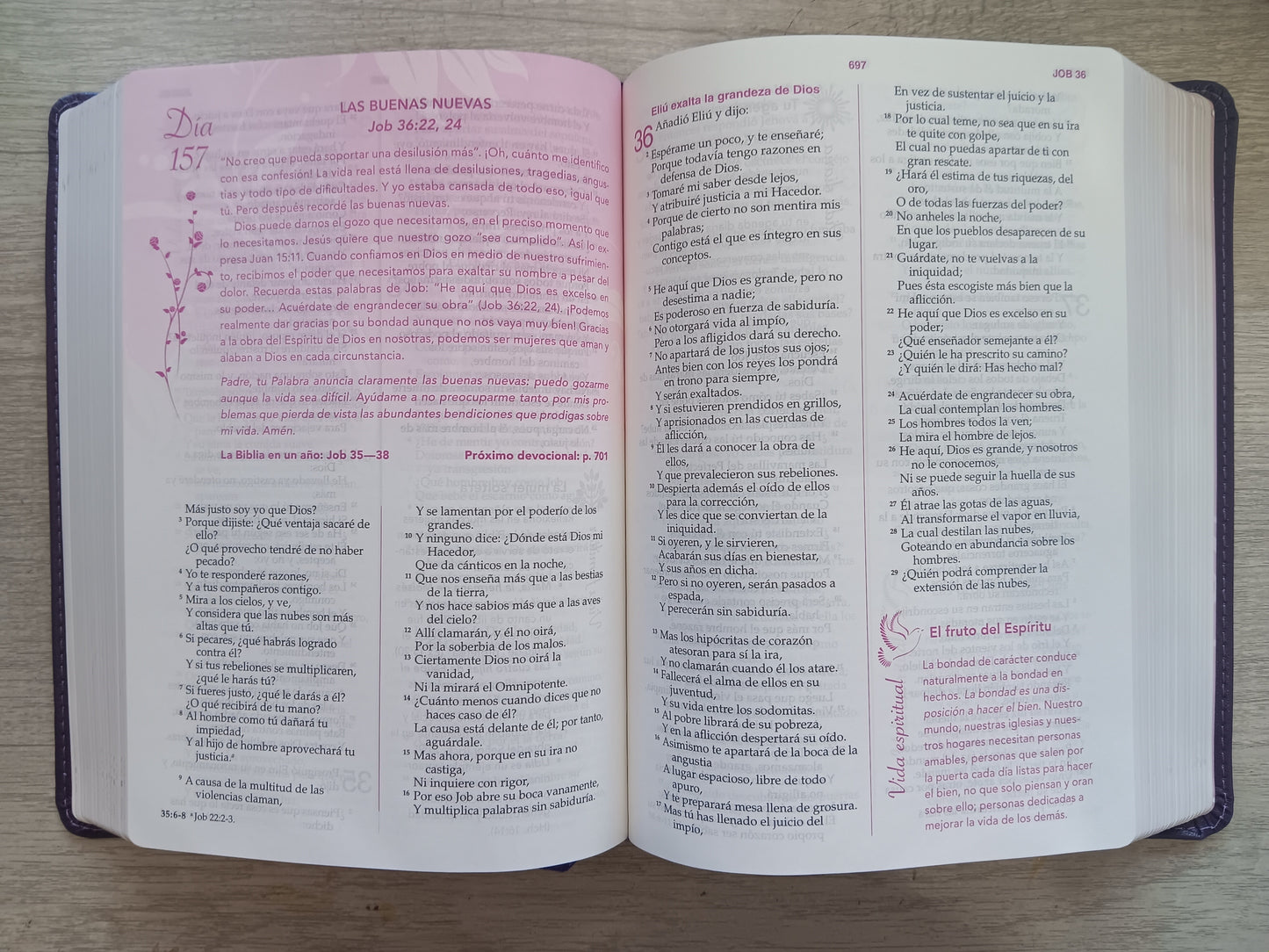Biblia de Estudio Mujer Conforme al Corazon de Dios