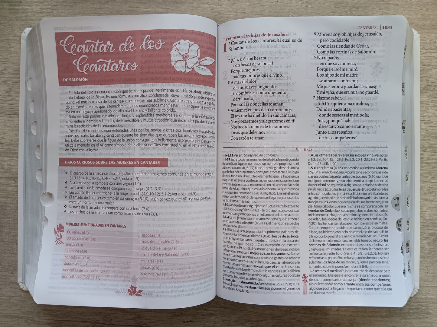 Biblia De Estudio Regocijaos en el Señor