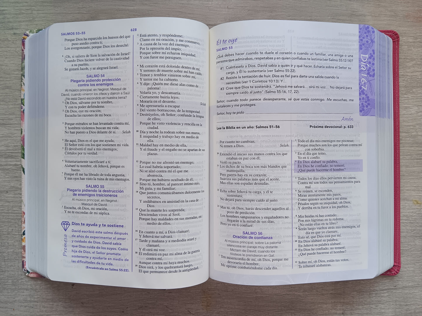 Biblia Devocional Joven Conforme al Corazon de Dios