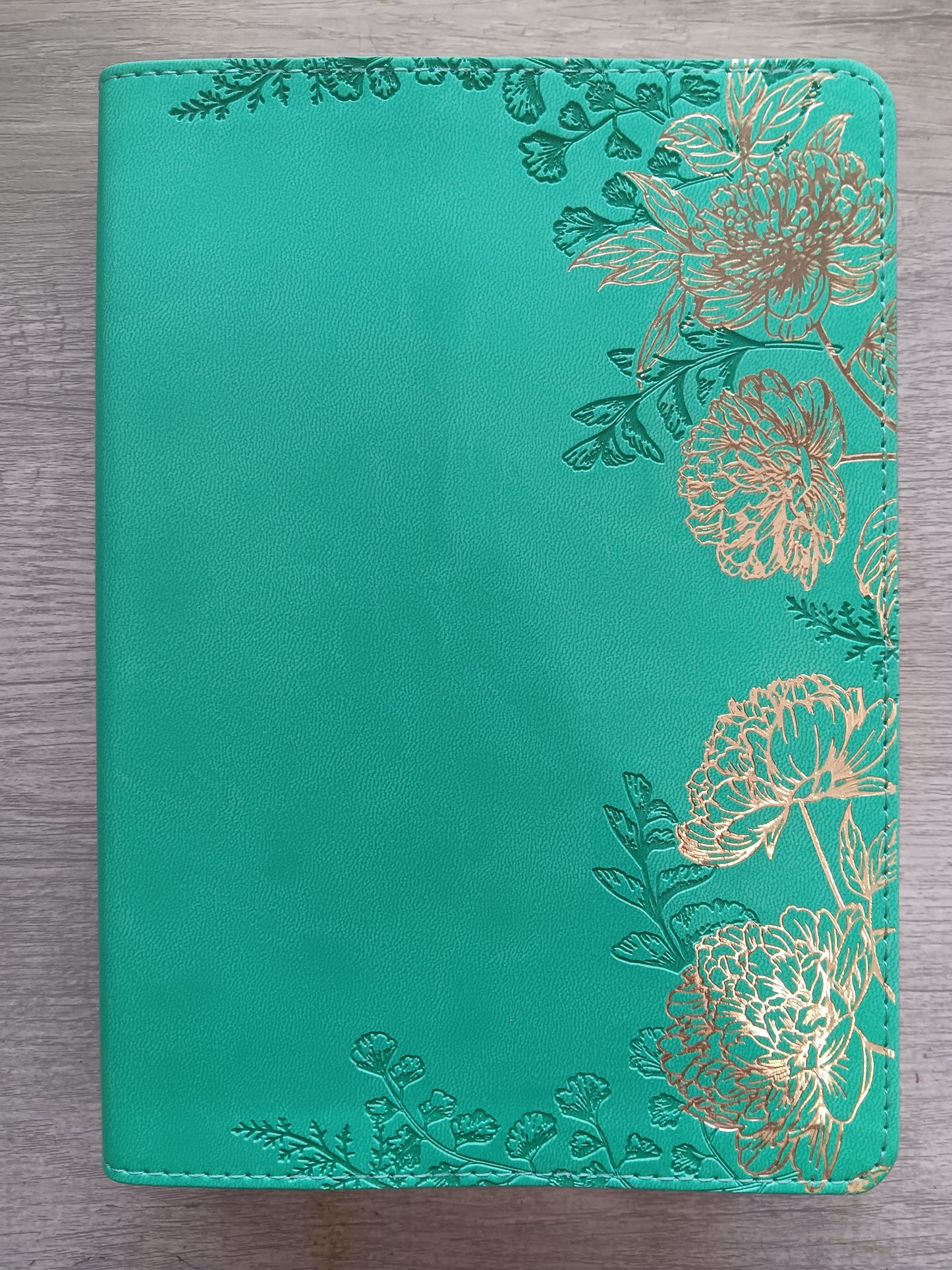 Biblia Devocional Joven Conforme al Corazon de Dios