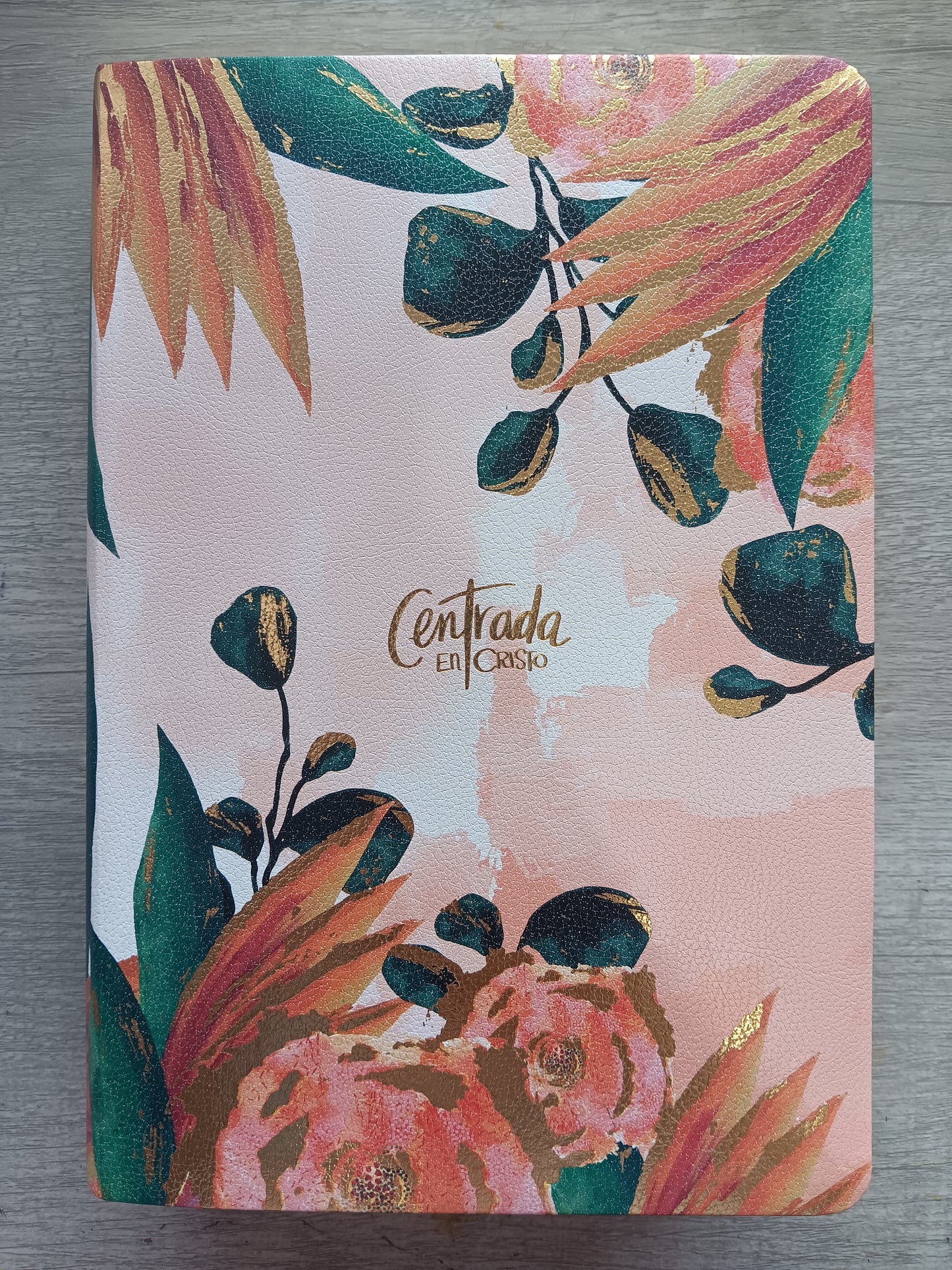 Biblia Devocional Mujeres Centrada En Cristo