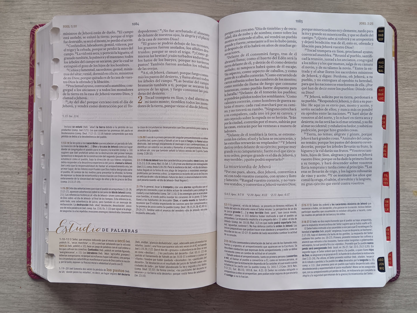 Biblia de Estudio para Mujeres