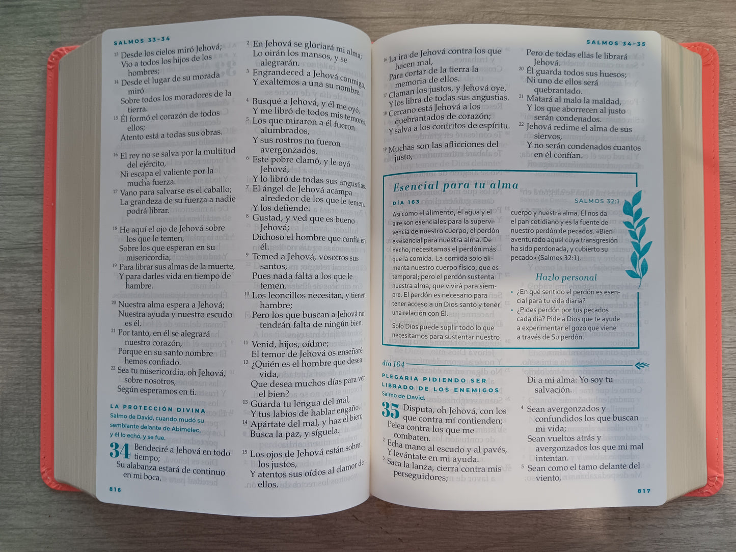 Biblia Devocional Mujer Verdadera