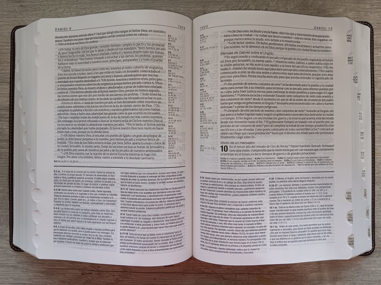 Biblia de Estudio Diario Vivir NTV