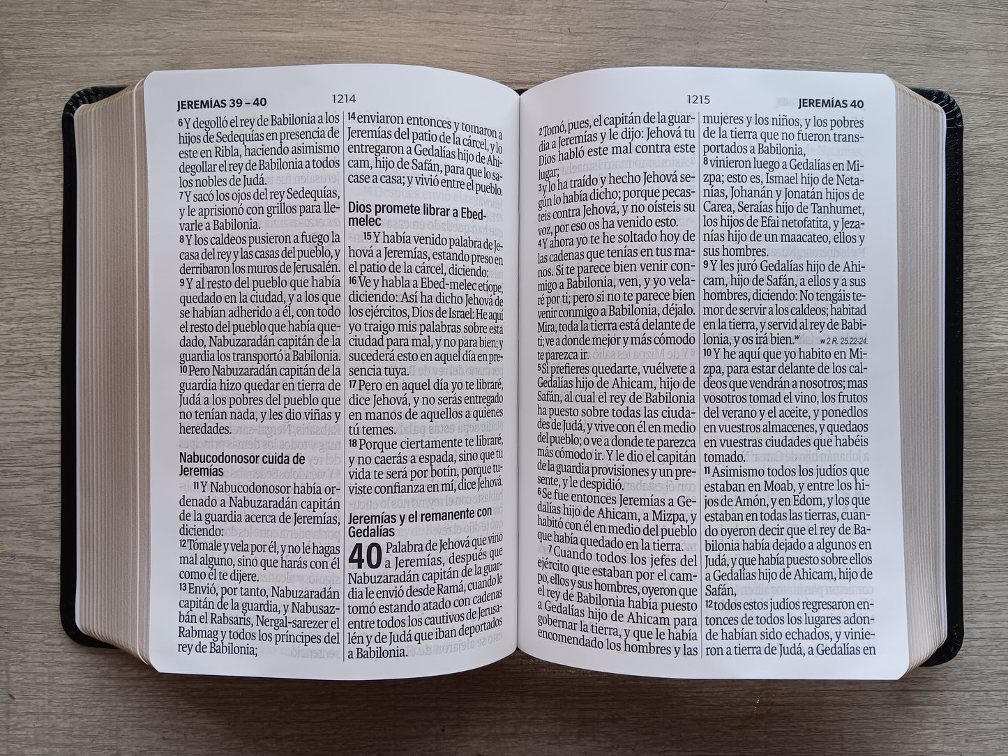 Biblia Letra Grande Tamaño Portatil