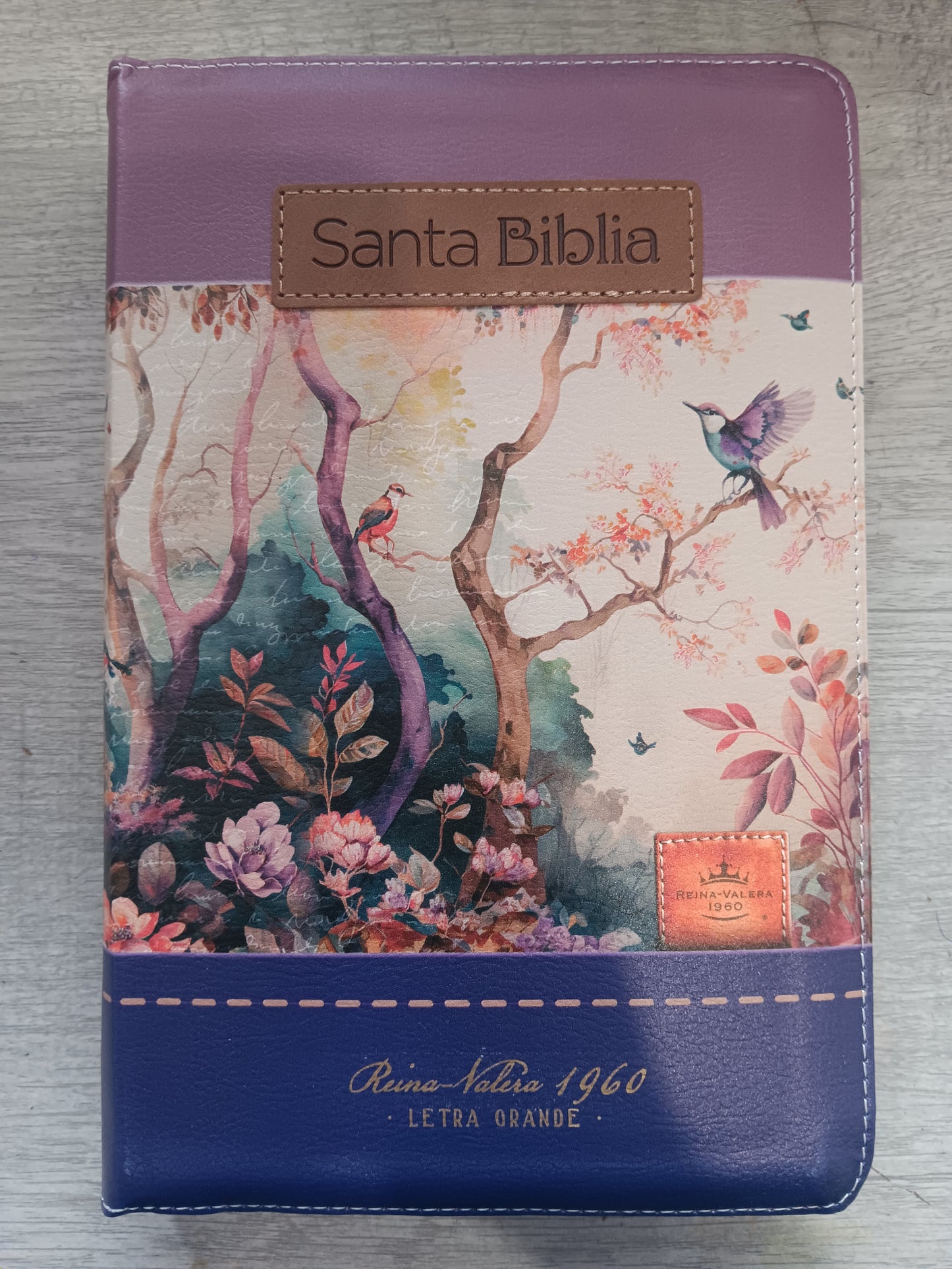 Biblia Letra Grande Tamaño Manual