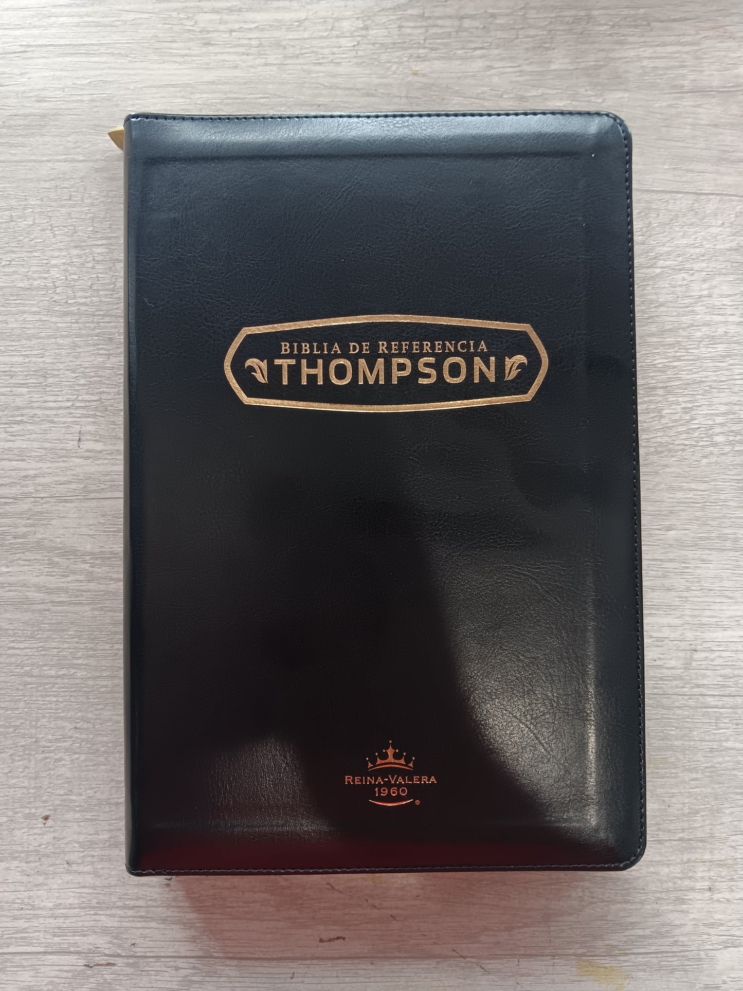 Biblia De Estudio Thompson