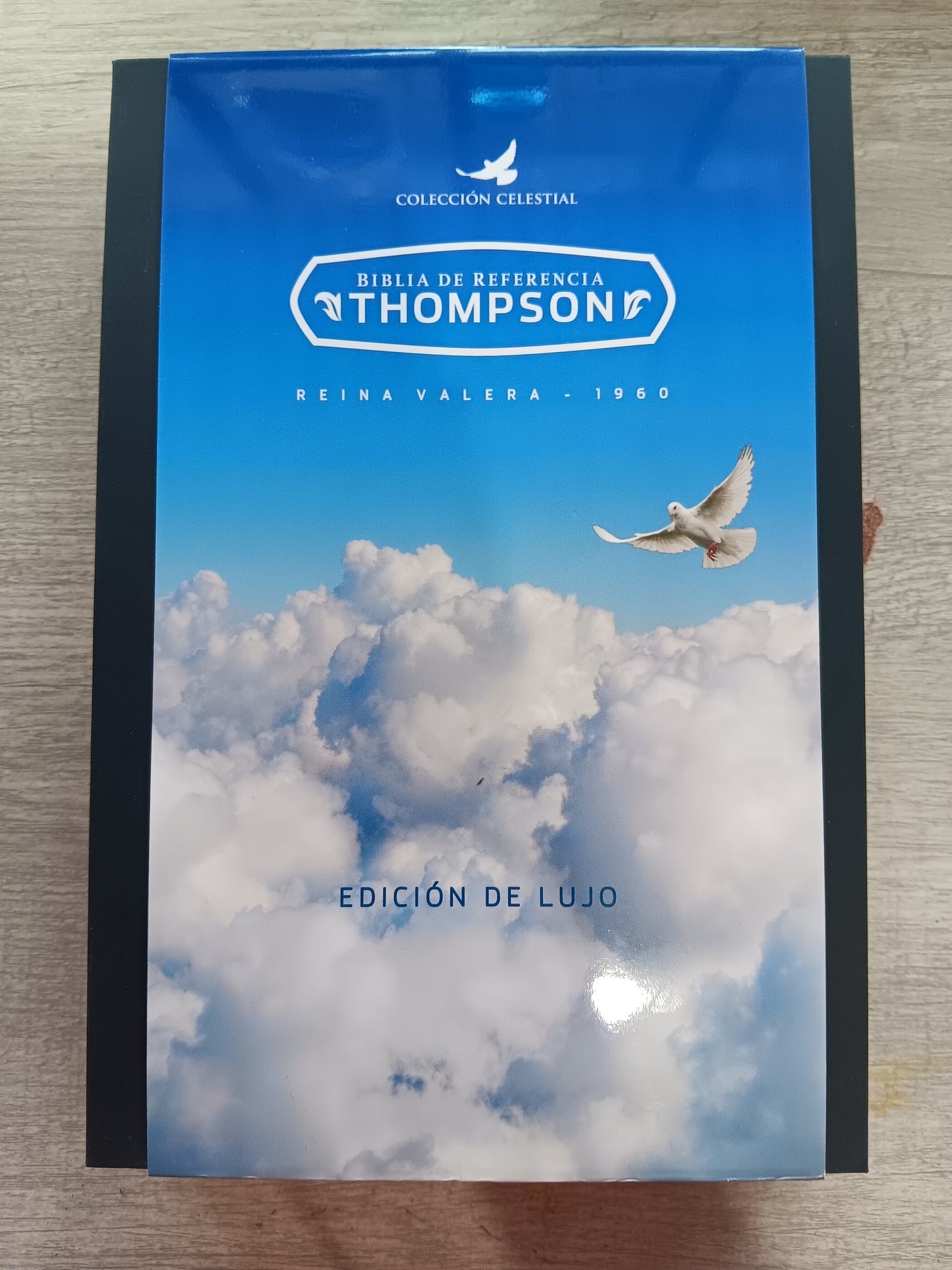 Biblia De Estudio Thompson