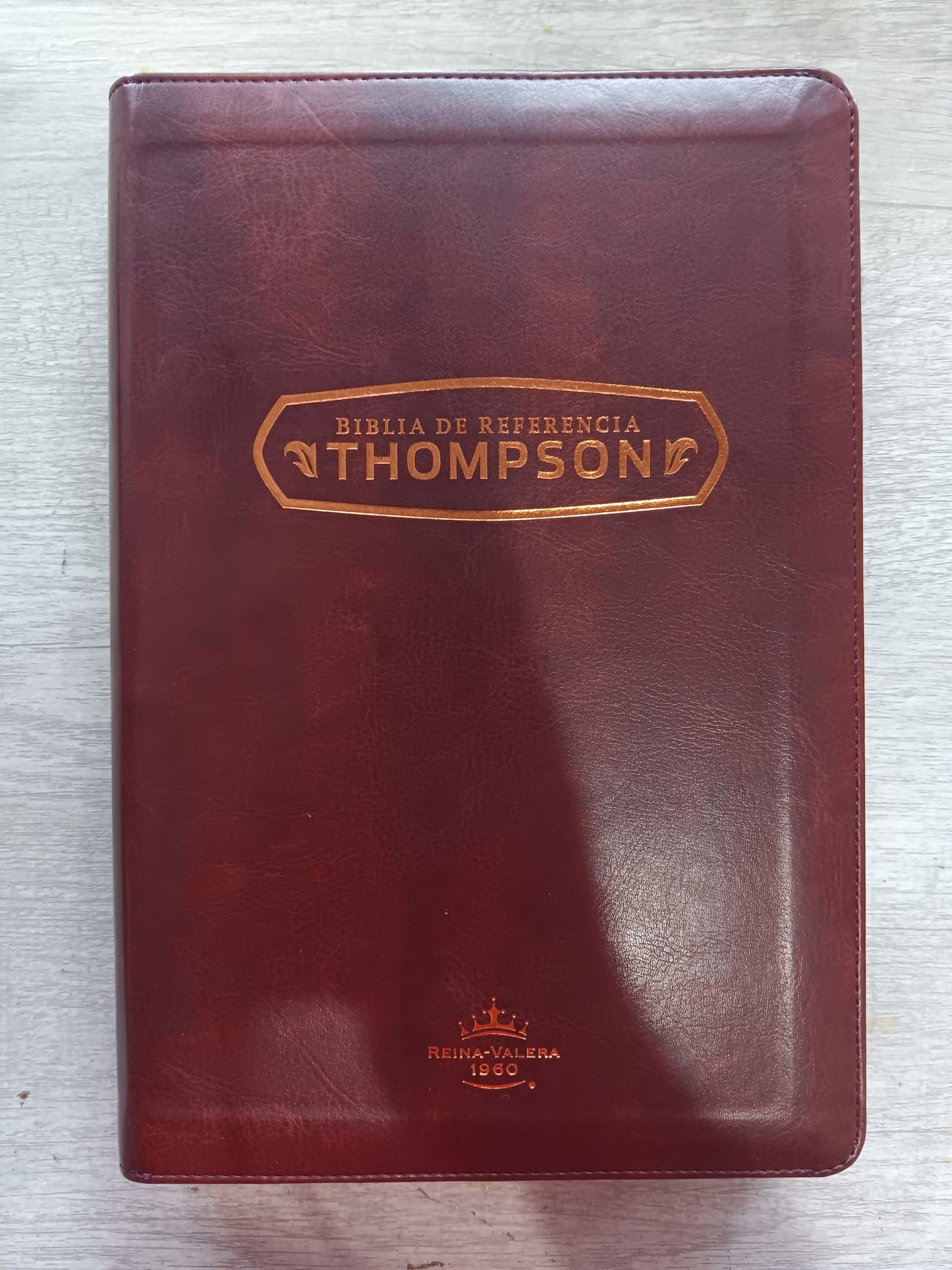 Biblia De Estudio Thompson