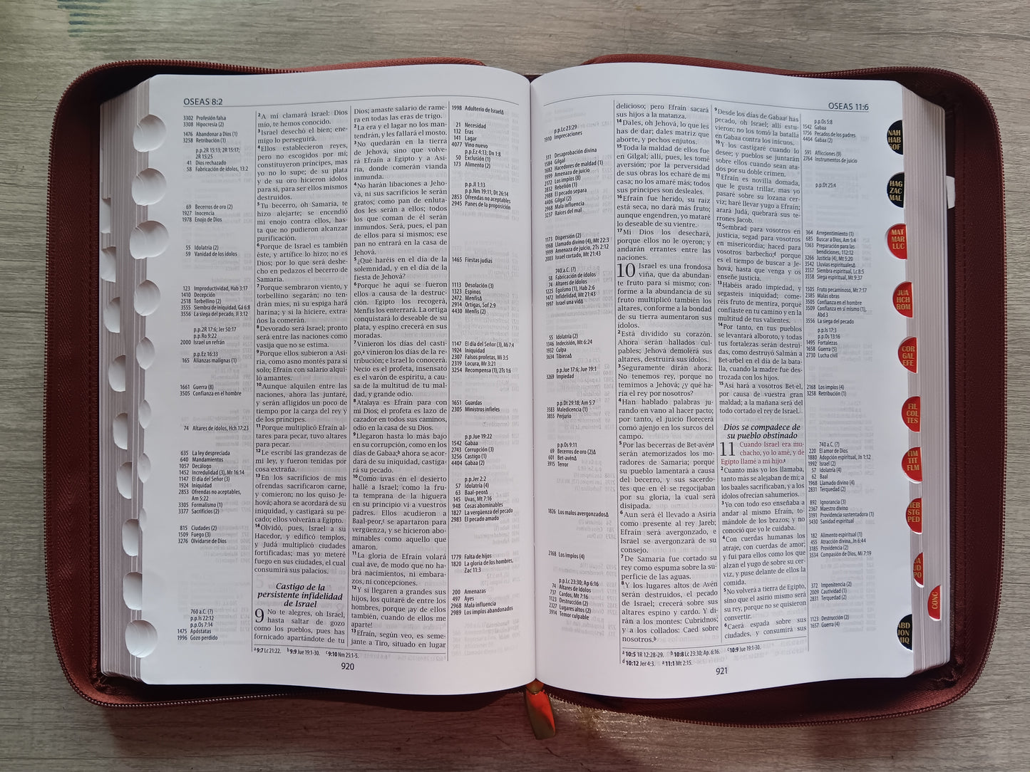 Biblia De Estudio Thompson