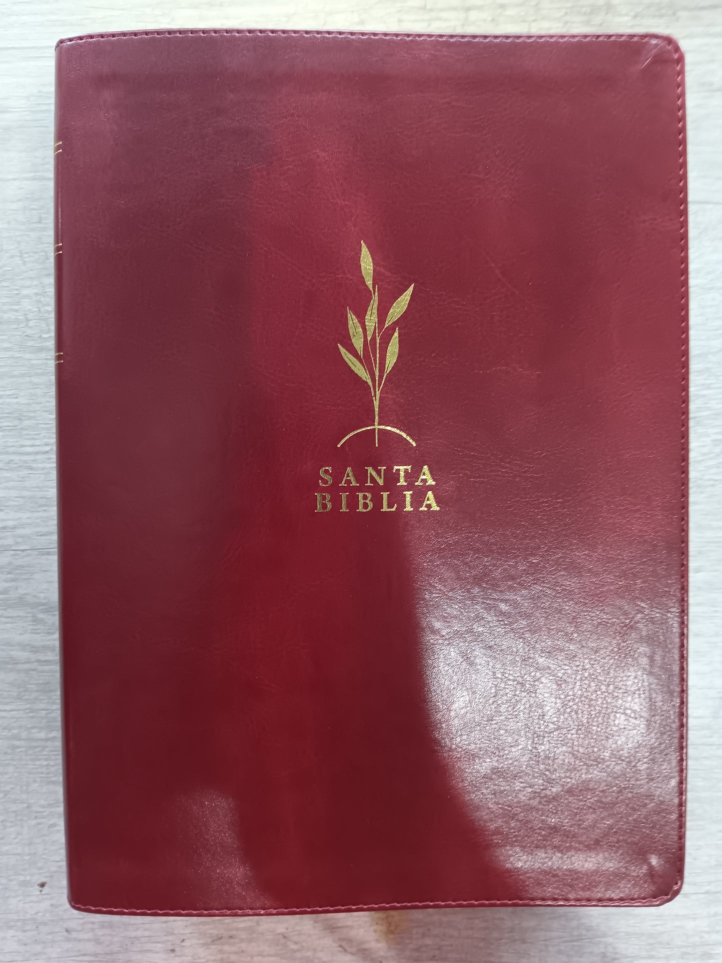 Biblia De Estudio Diario Vivir Letra Grande