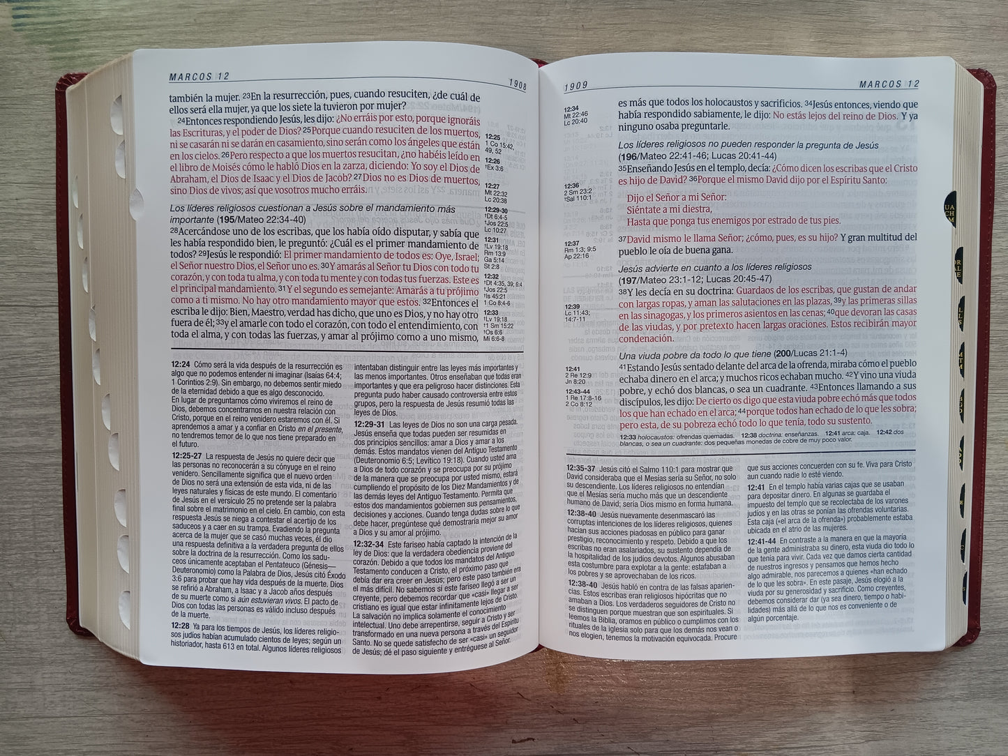 Biblia De Estudio Diario Vivir Letra Grande