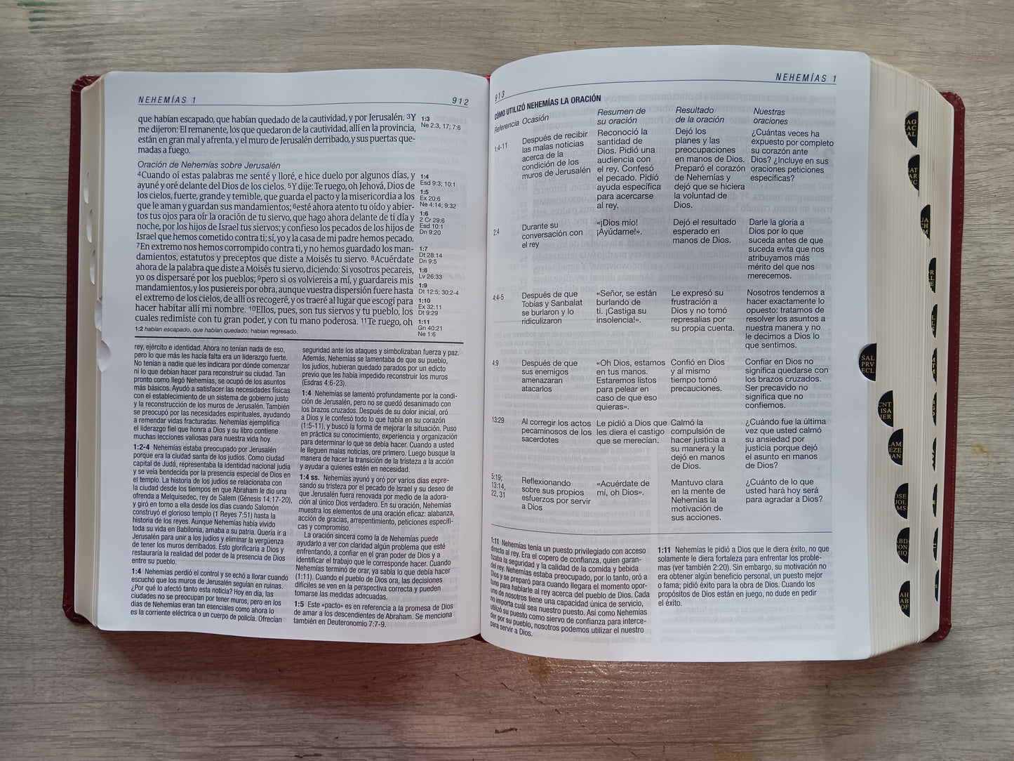 Biblia De Estudio Diario Vivir Letra Grande