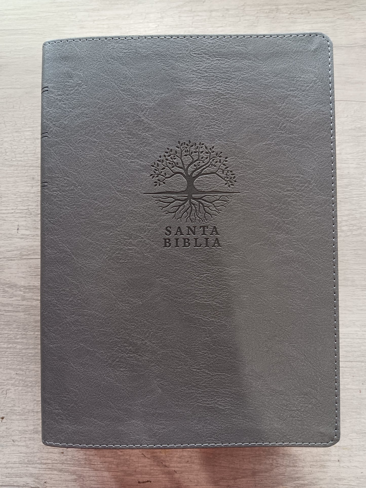 Biblia De Estudio Diario Vivir Letra Grande