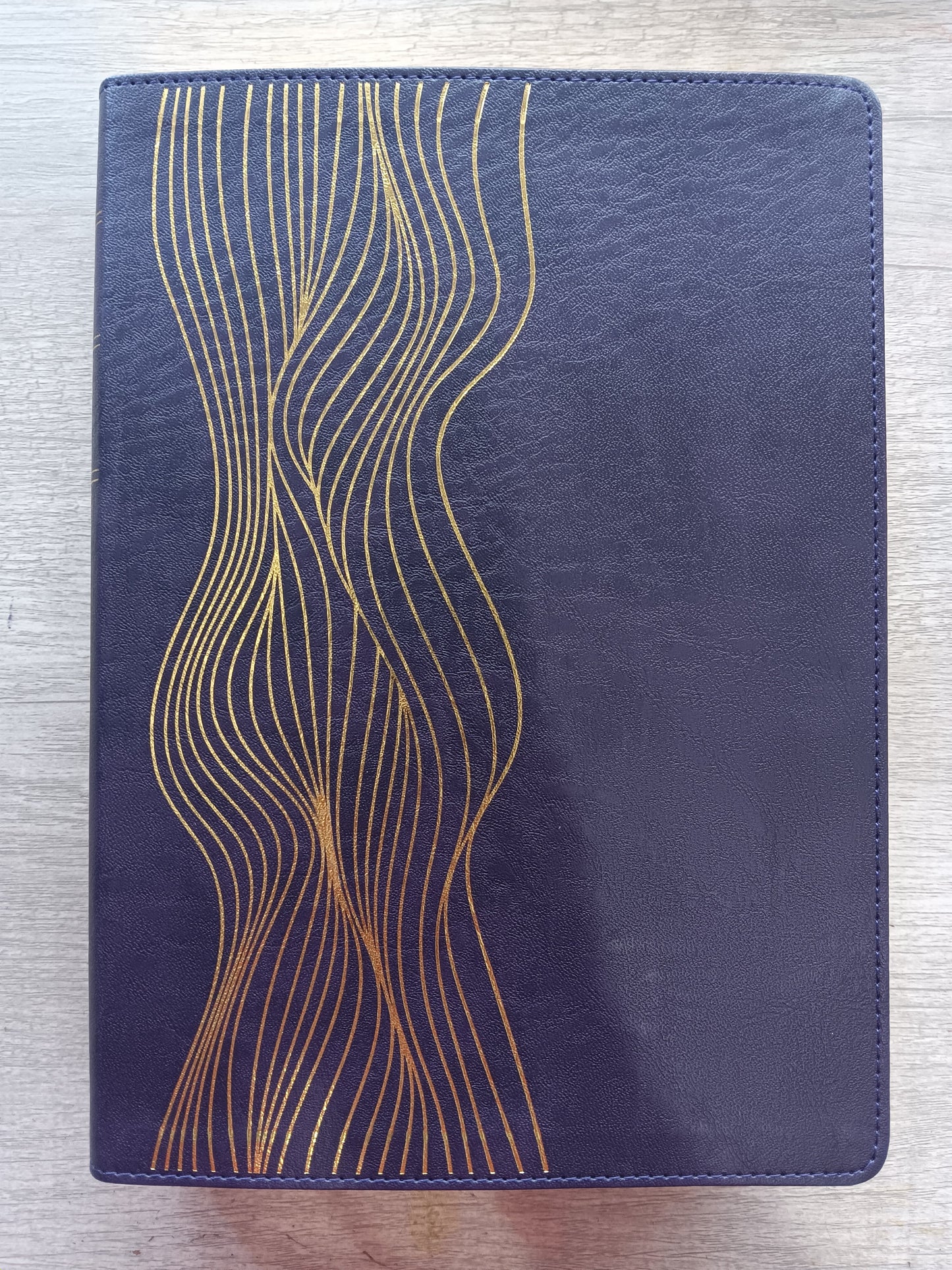 Biblia De Estudio Diario Vivir