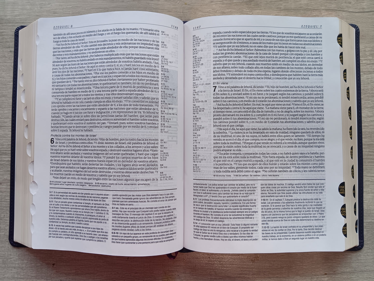 Biblia De Estudio Diario Vivir