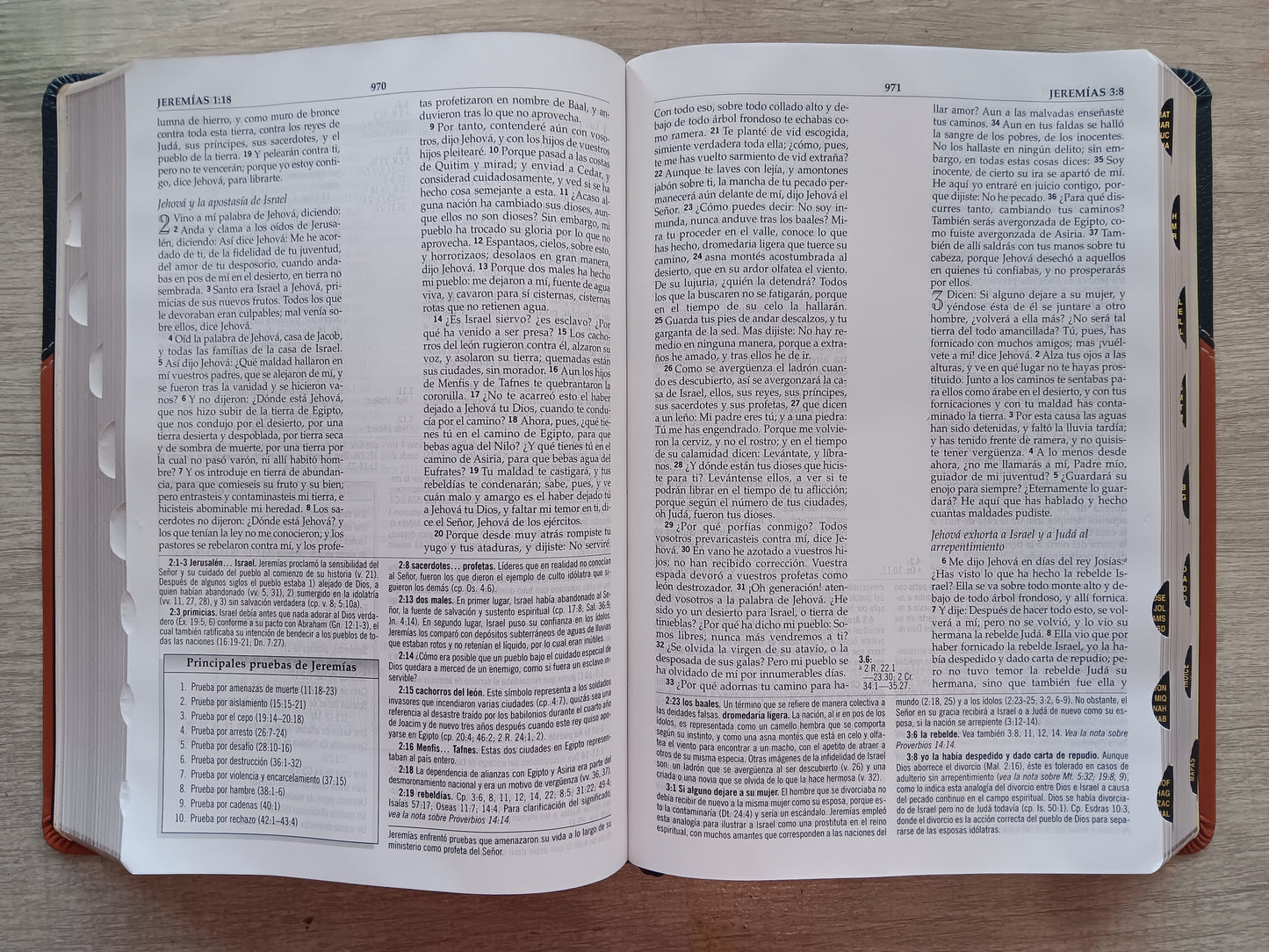 Biblia De Estudio MacArthur