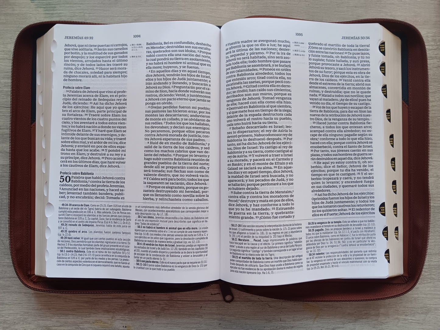 Biblia De Estudio MacArthur