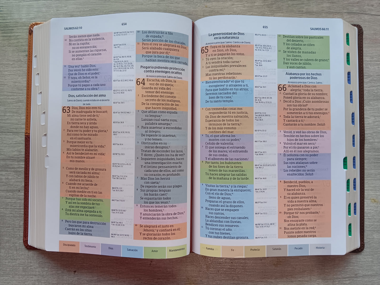 Biblia de Estudio Arcoiris