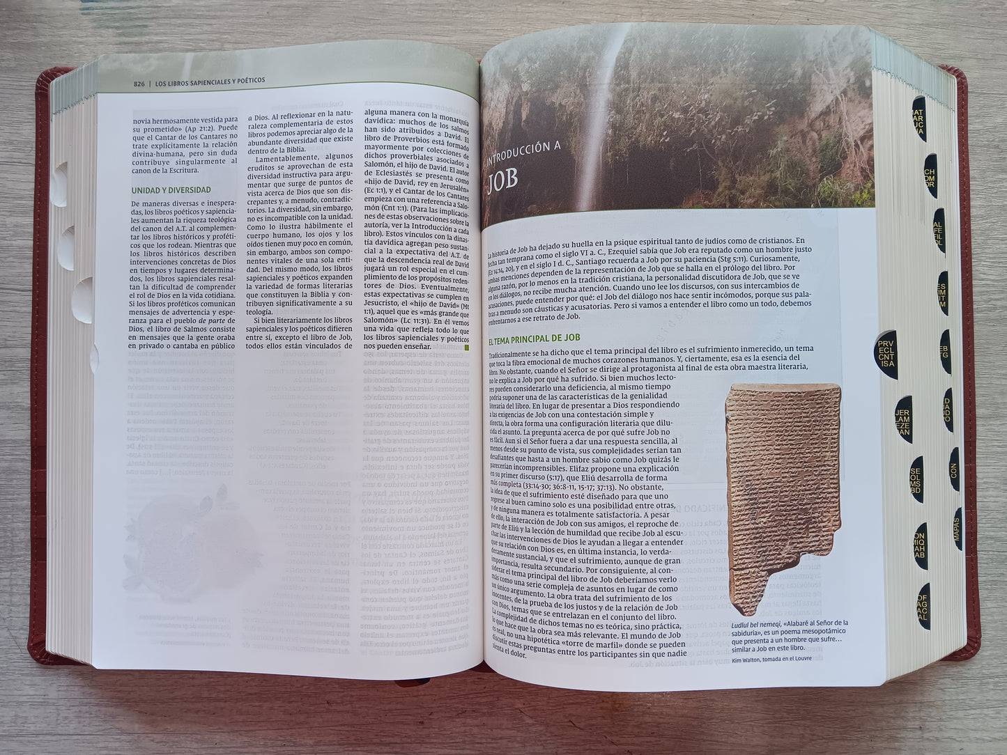 Biblia de Estudio Teologia Biblica