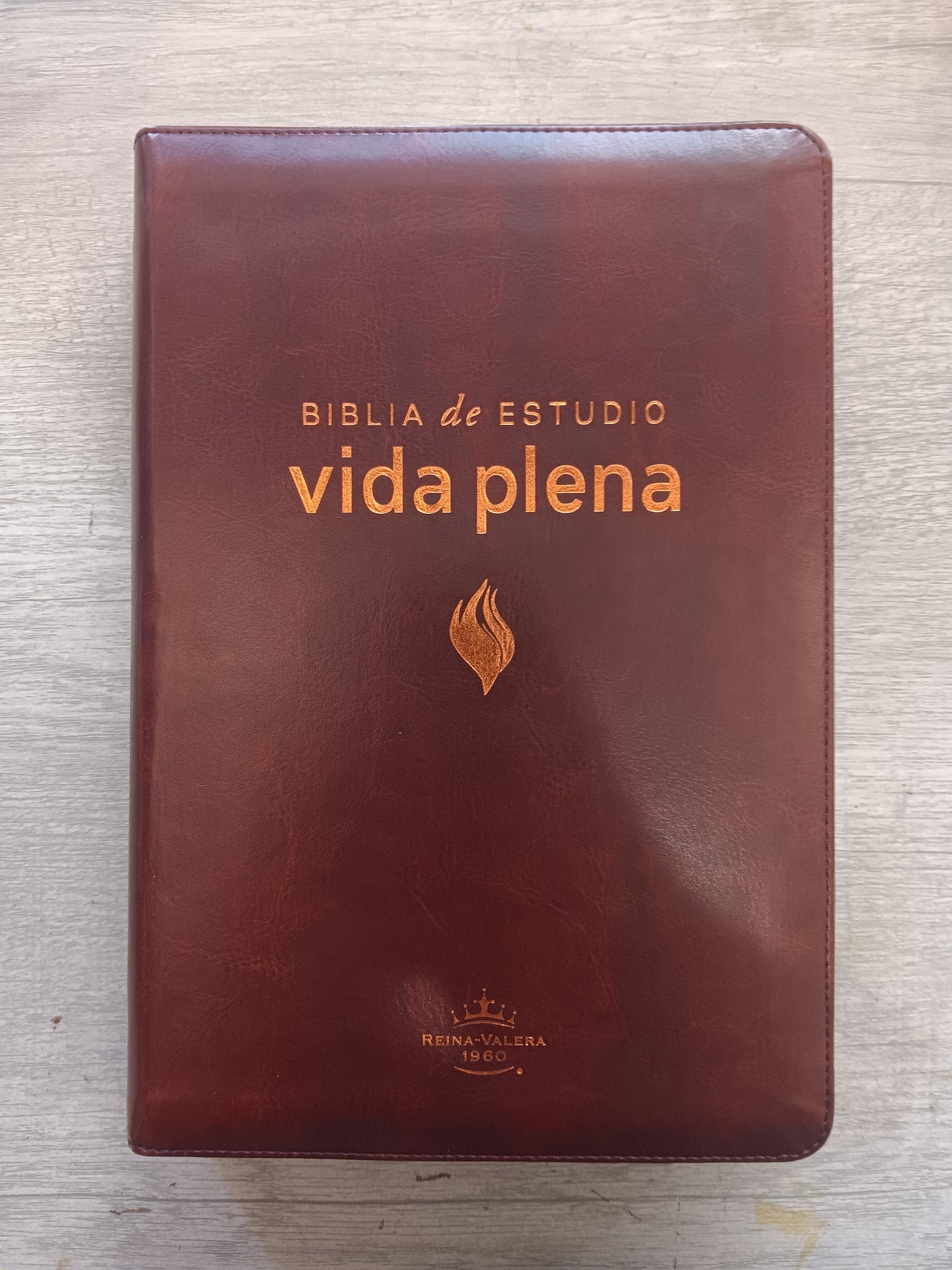 Biblia De Estudio Vida Plena