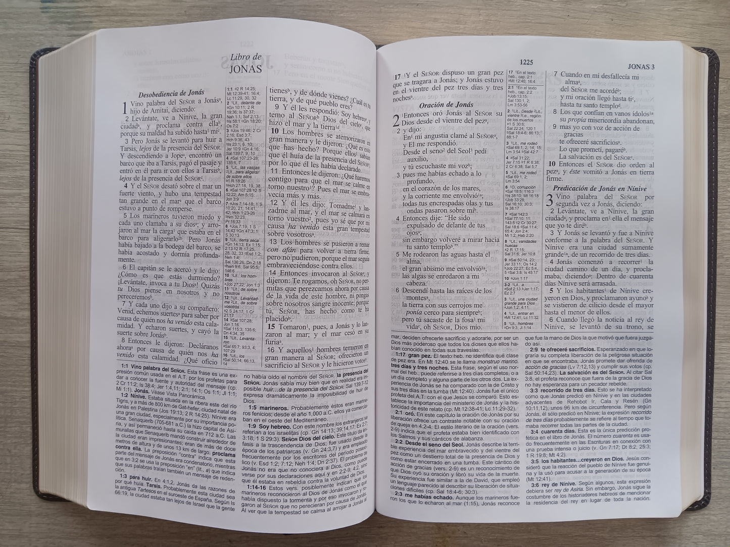 Biblia de Estudio Las Americas