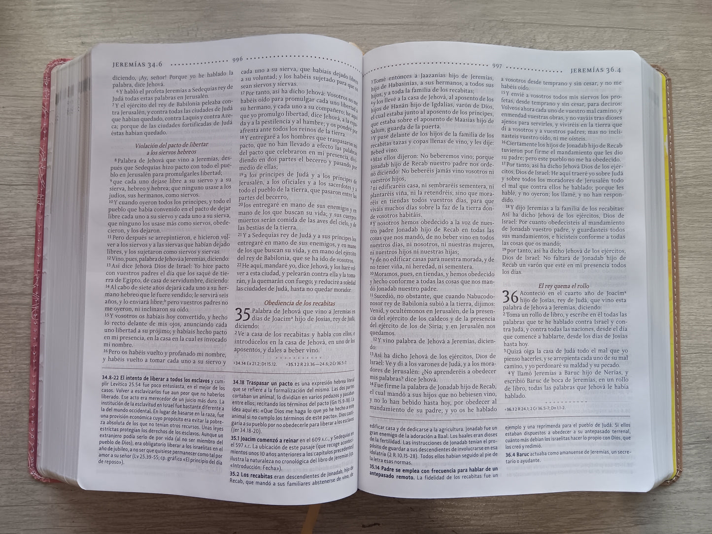 Biblia de Estudio Para la Mujer