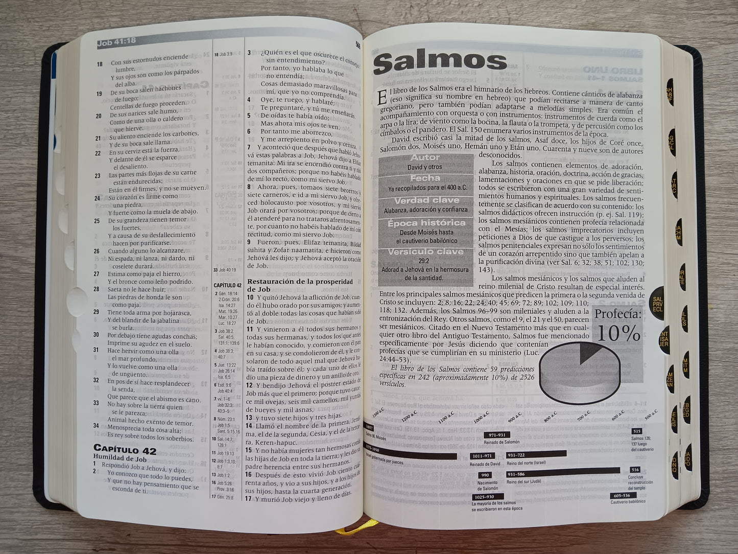 Biblia de Estudio de La Profecia