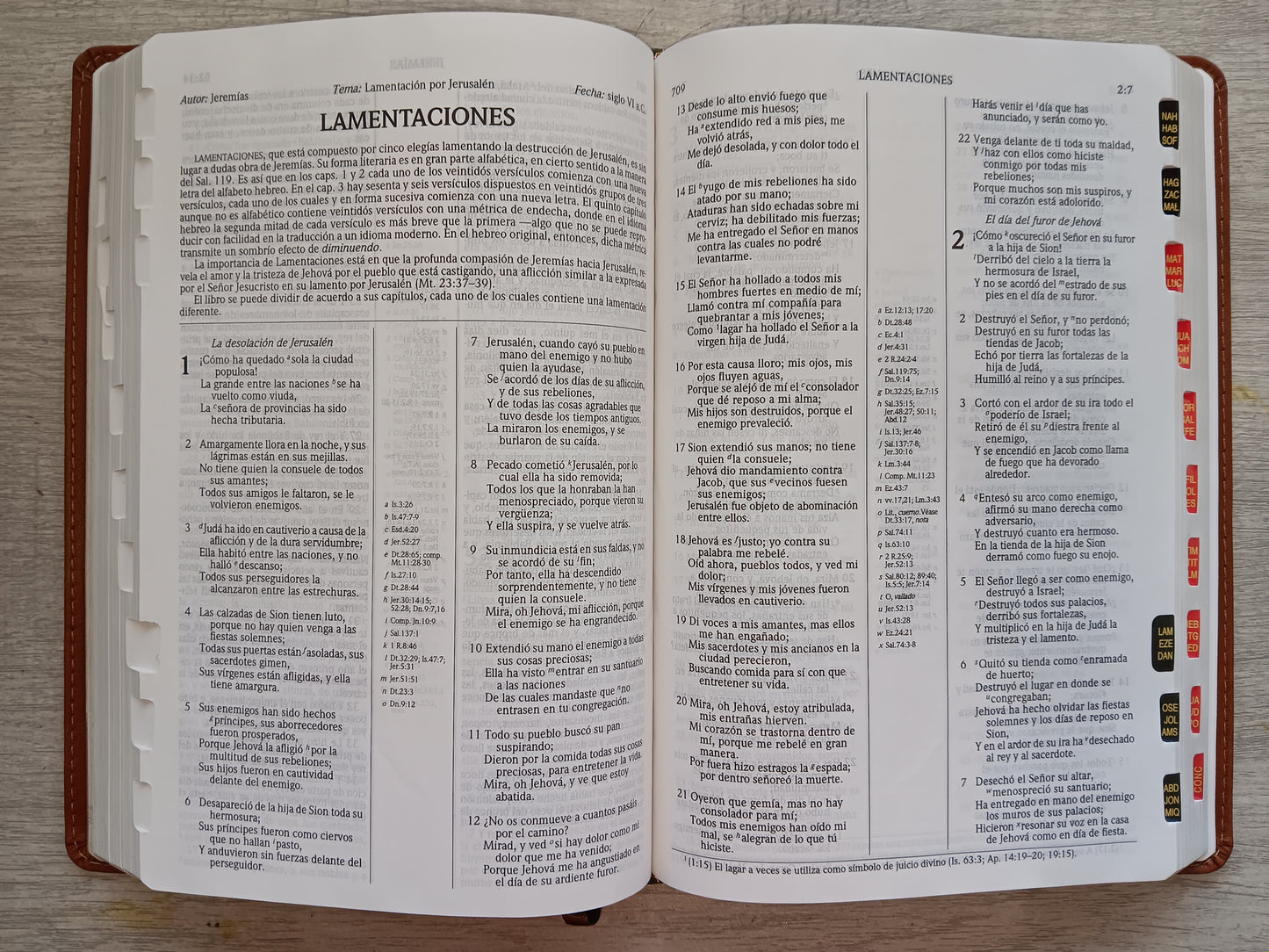 Biblia de Estudio Scofield