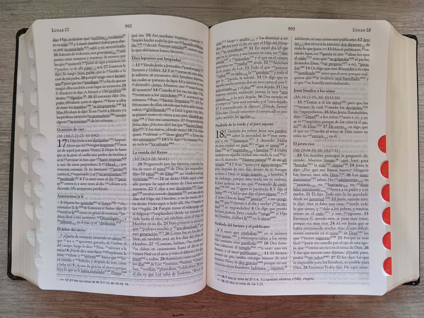 Biblia de Estudio Palabra Clave