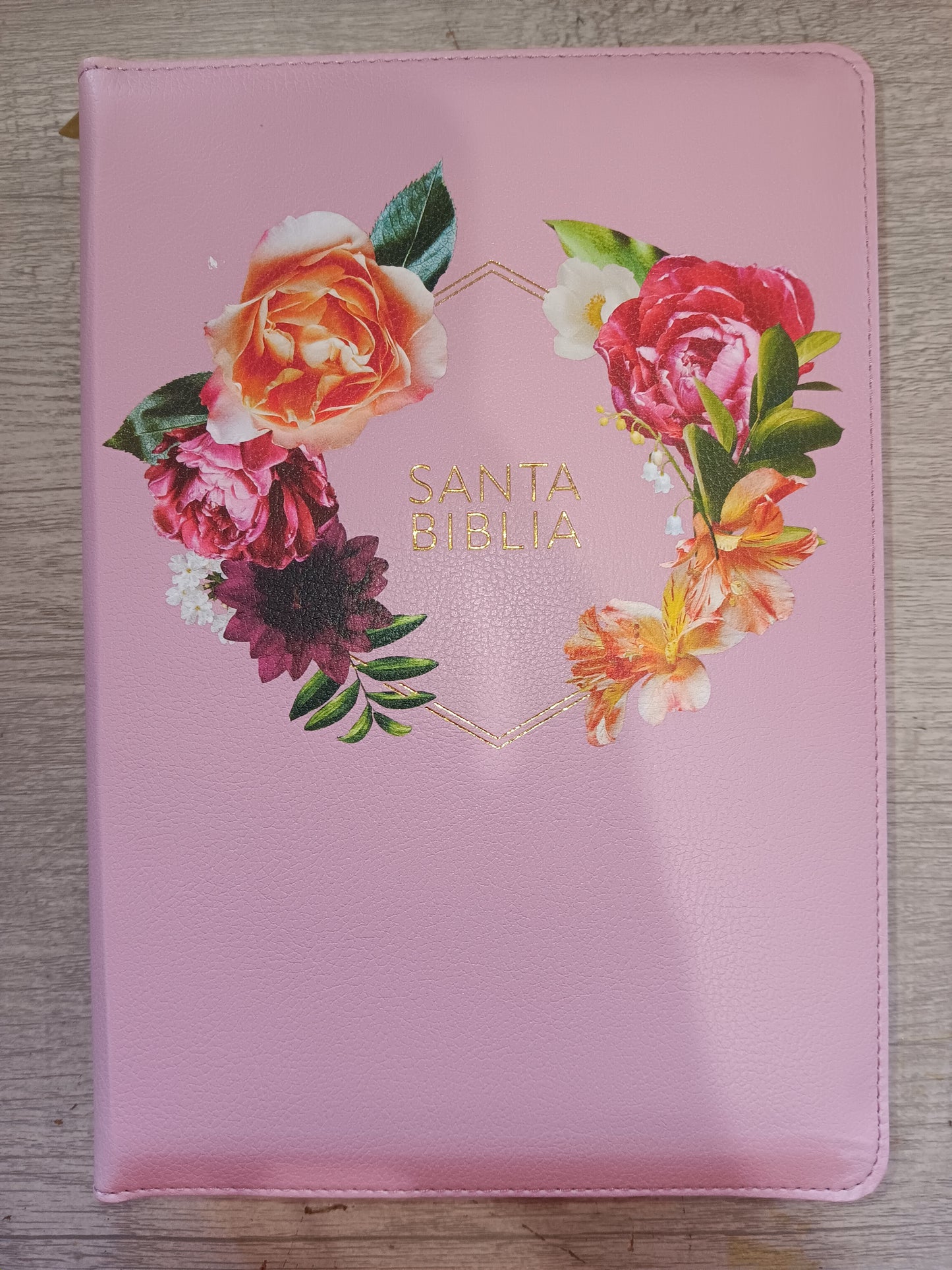 Biblia Letra Gigante Tamaño Manual