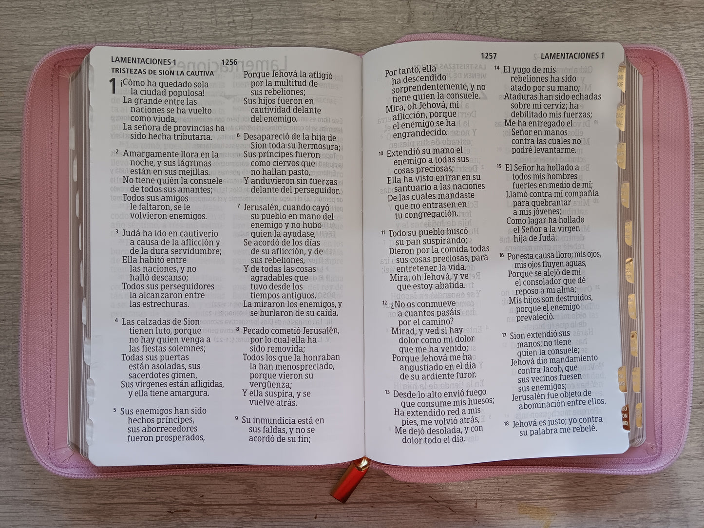 Biblia Letra Gigante Tamaño Manual