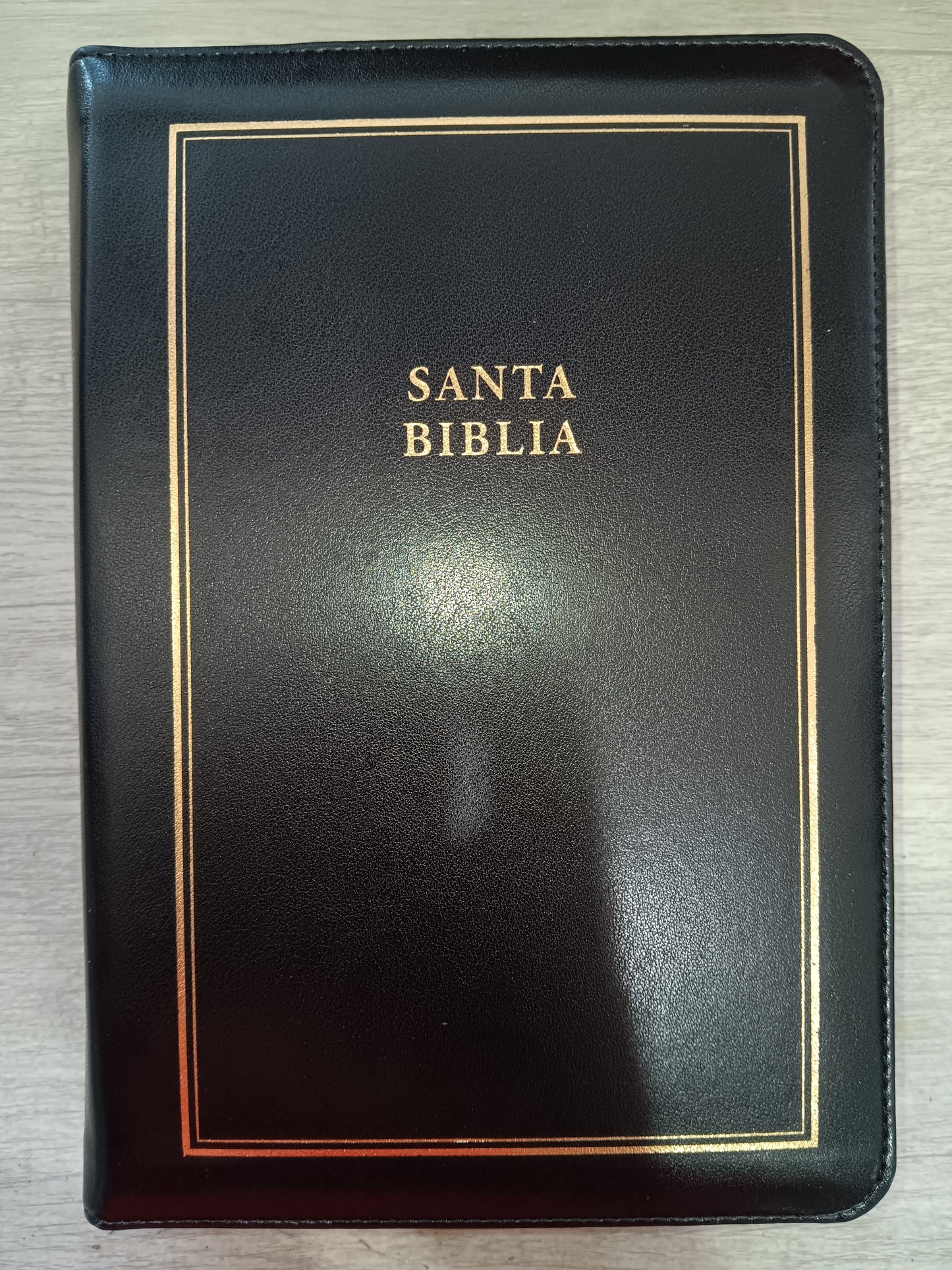 Biblia Letra Gigante Tamaño Manual