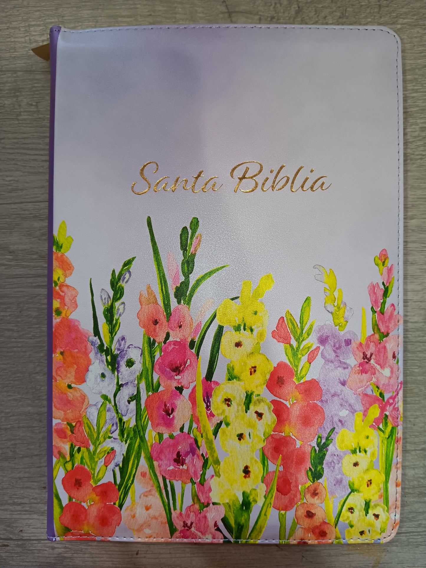 Biblia Letra Gigante Tamaño Manual