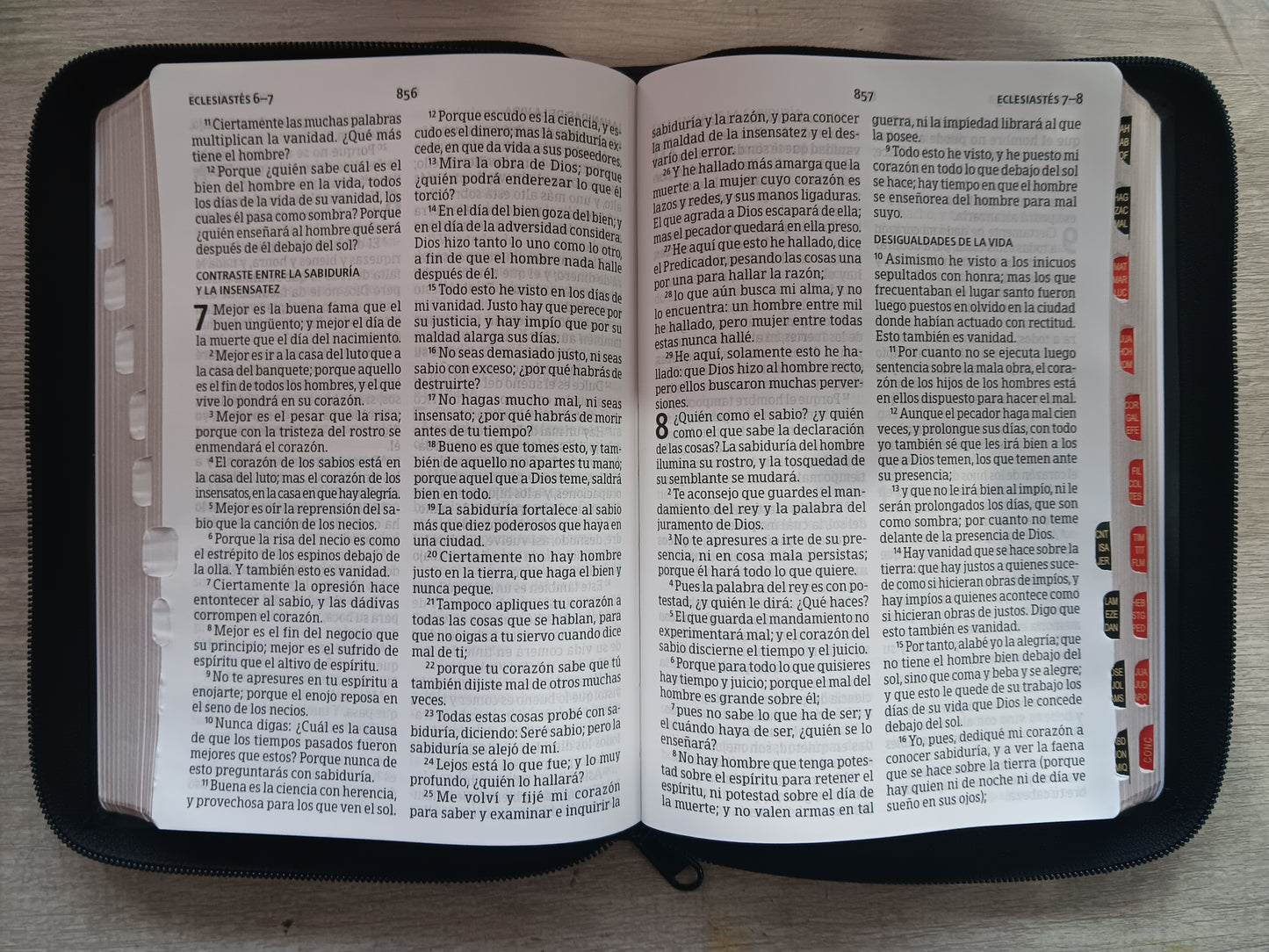 Biblia Letra Grande Tamaño Manual 12 pts