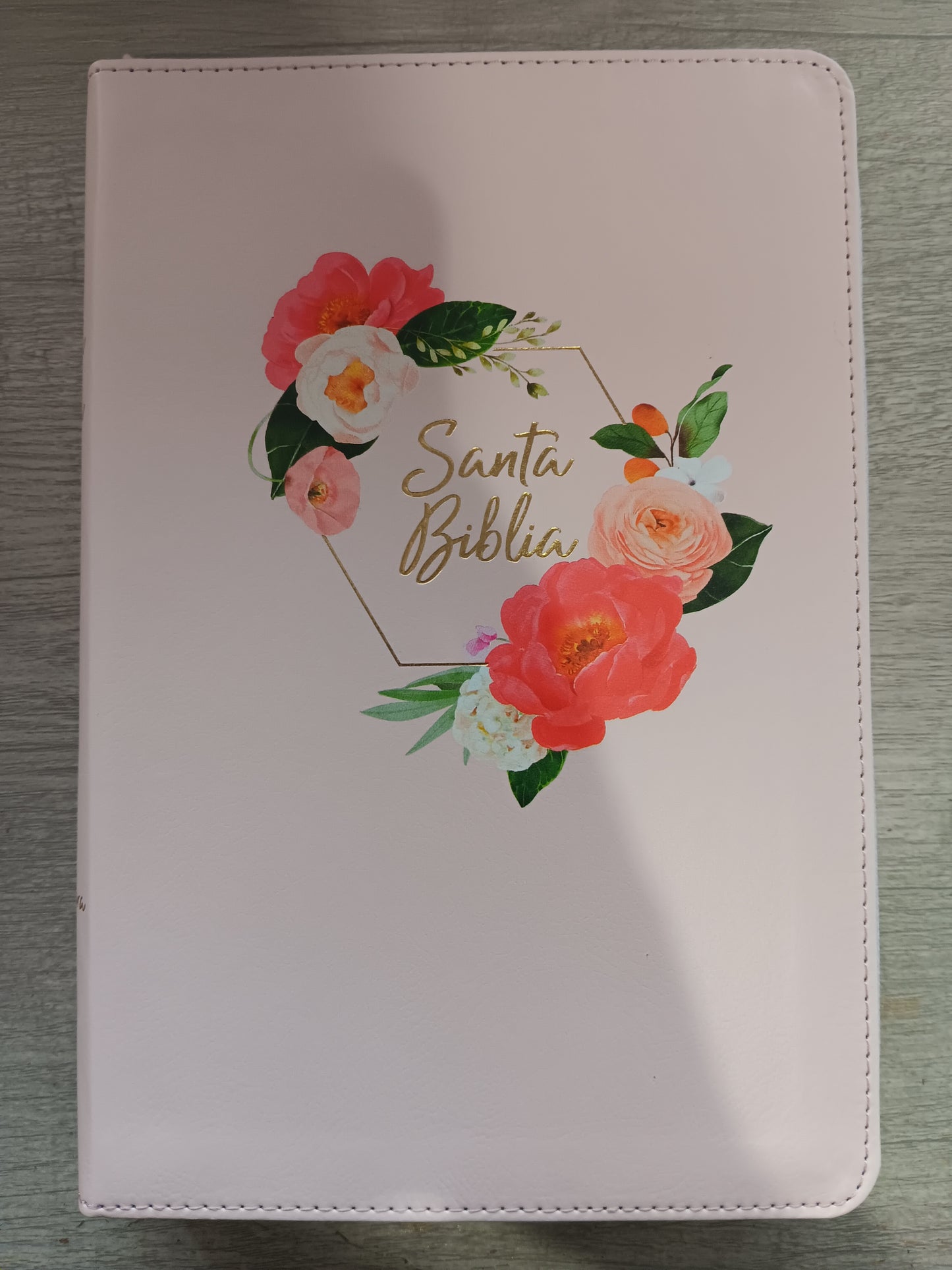 Biblia Letra Grande Tamaño Manual 12 pts