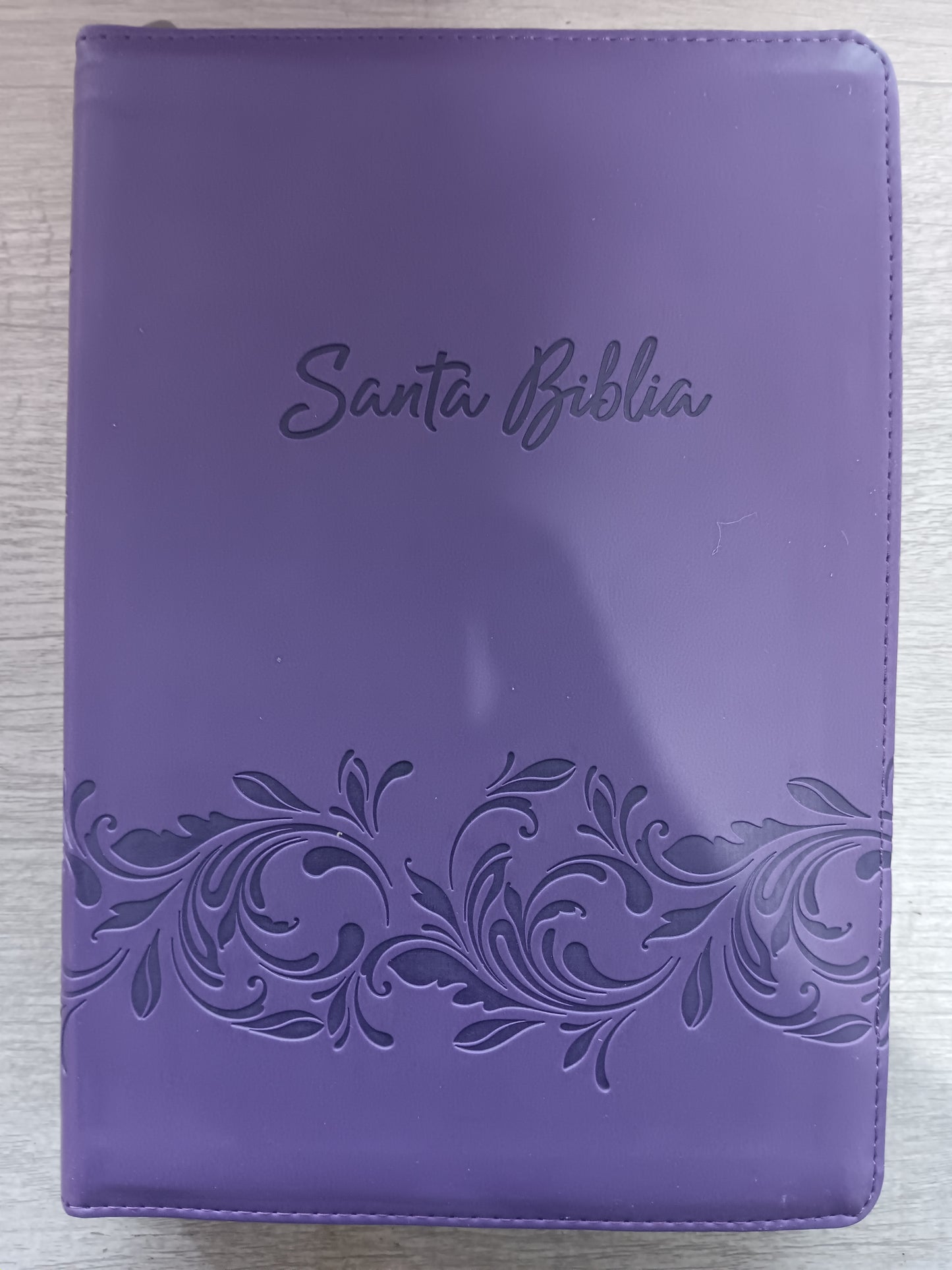 Biblia Letra Grande Tamaño Manual 12 pts