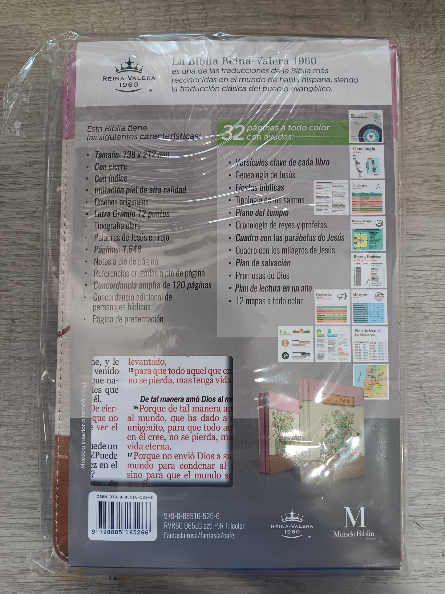 Biblia Letra Grande Tamaño Manual