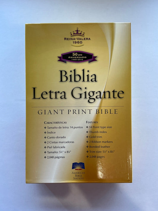 Biblia Letra Gigante 14 puntos