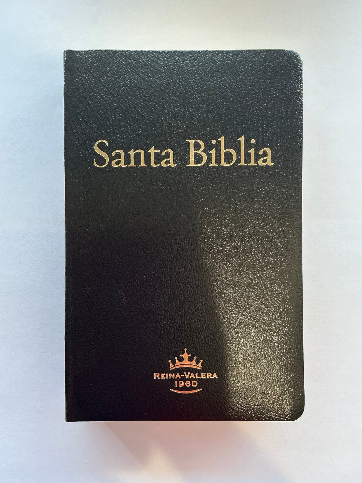 Biblia Letra Gigante 14 puntos