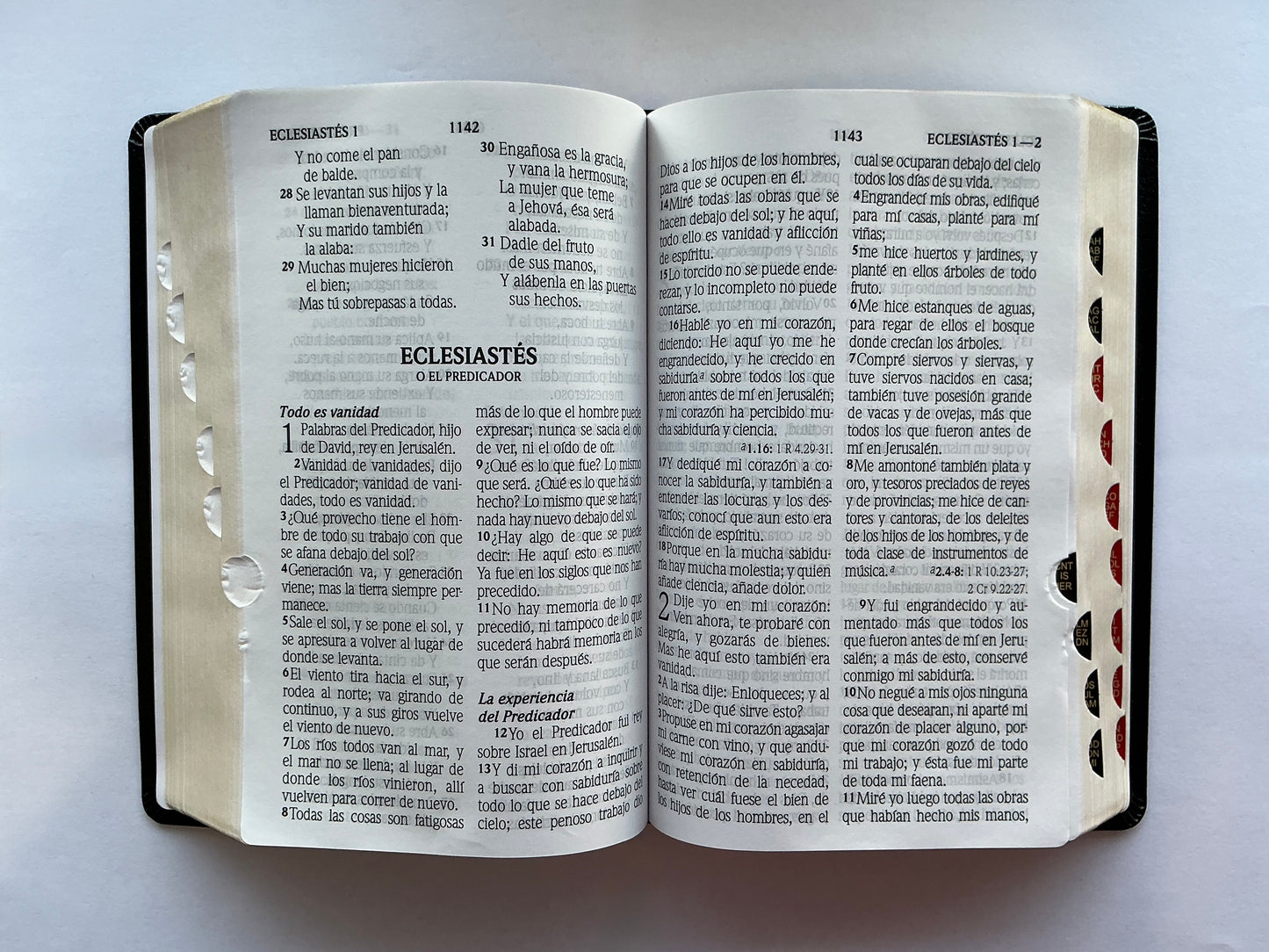 Biblia Letra Gigante 14 puntos