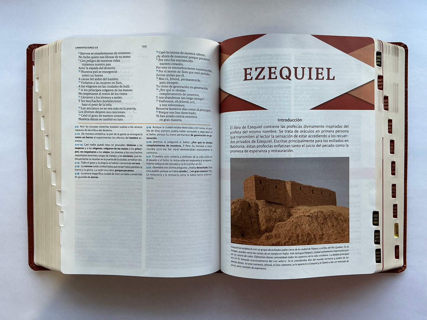 Biblia de Estudio Holman