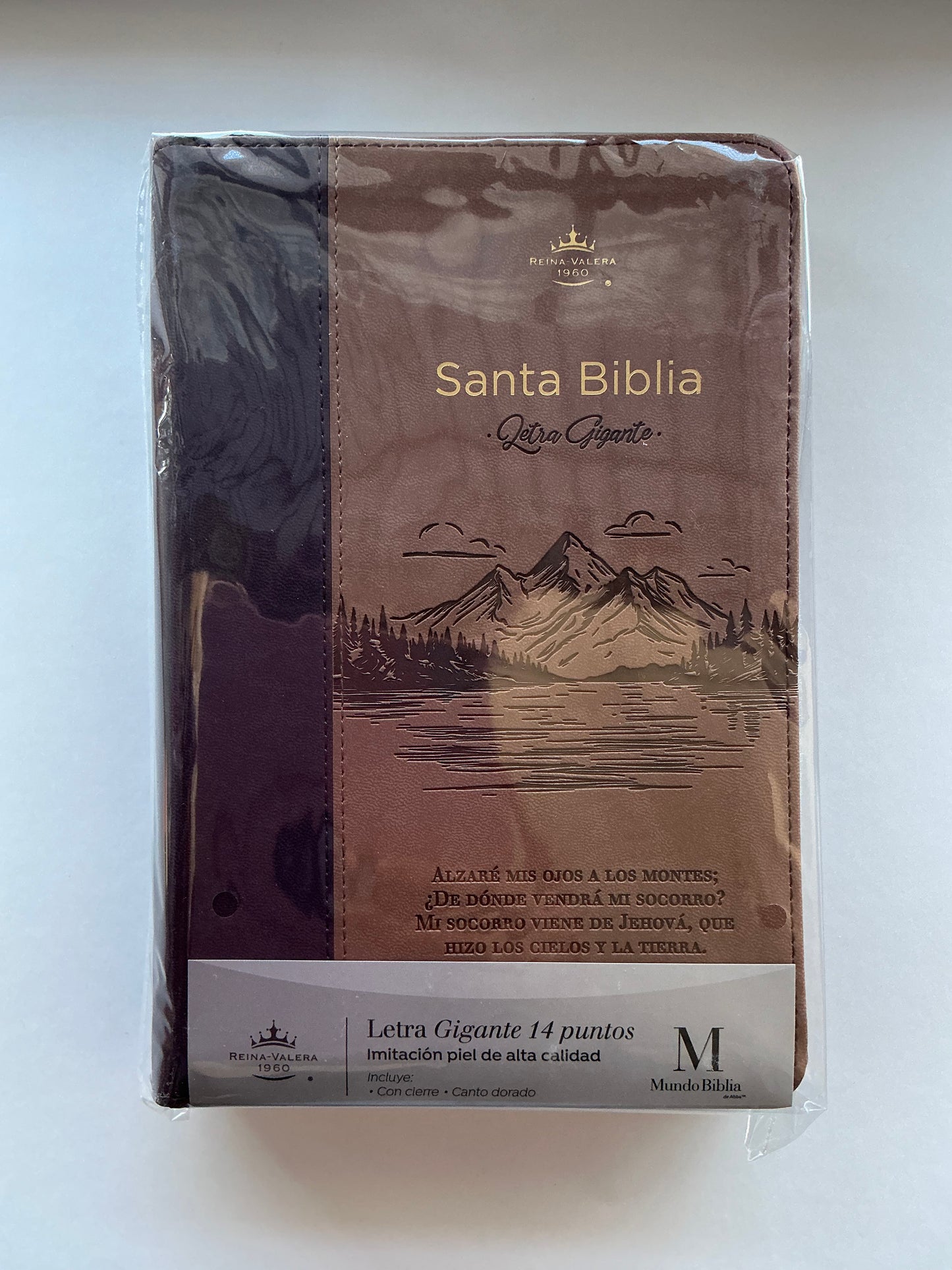 Biblia Letra Gigante 14 puntos