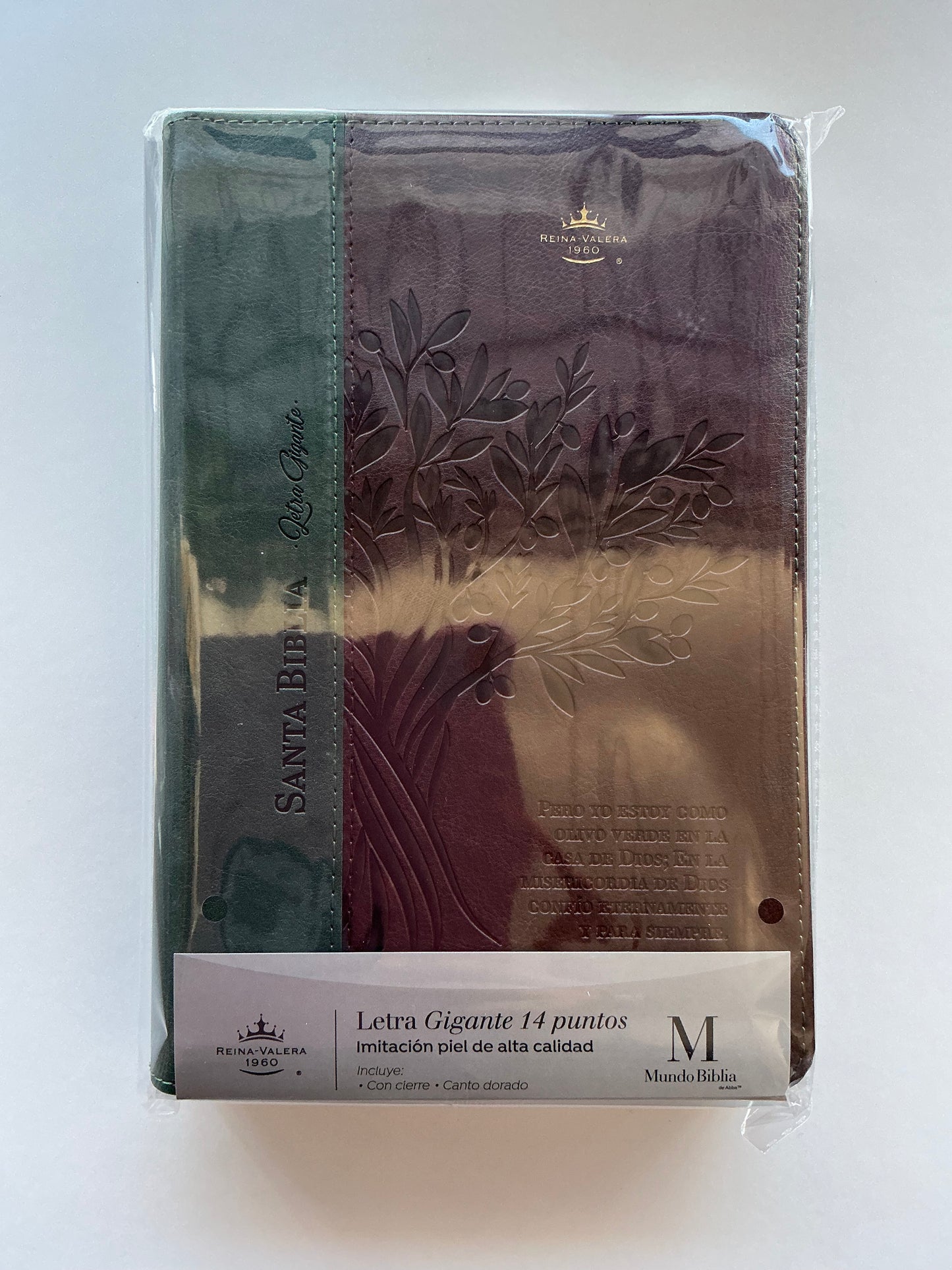 Biblia Letra Gigante 14 puntos