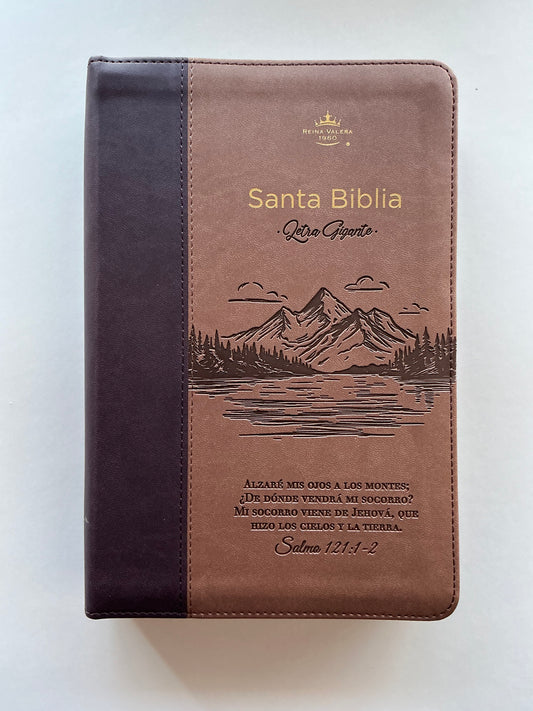 Biblia Letra Gigante 14 puntos