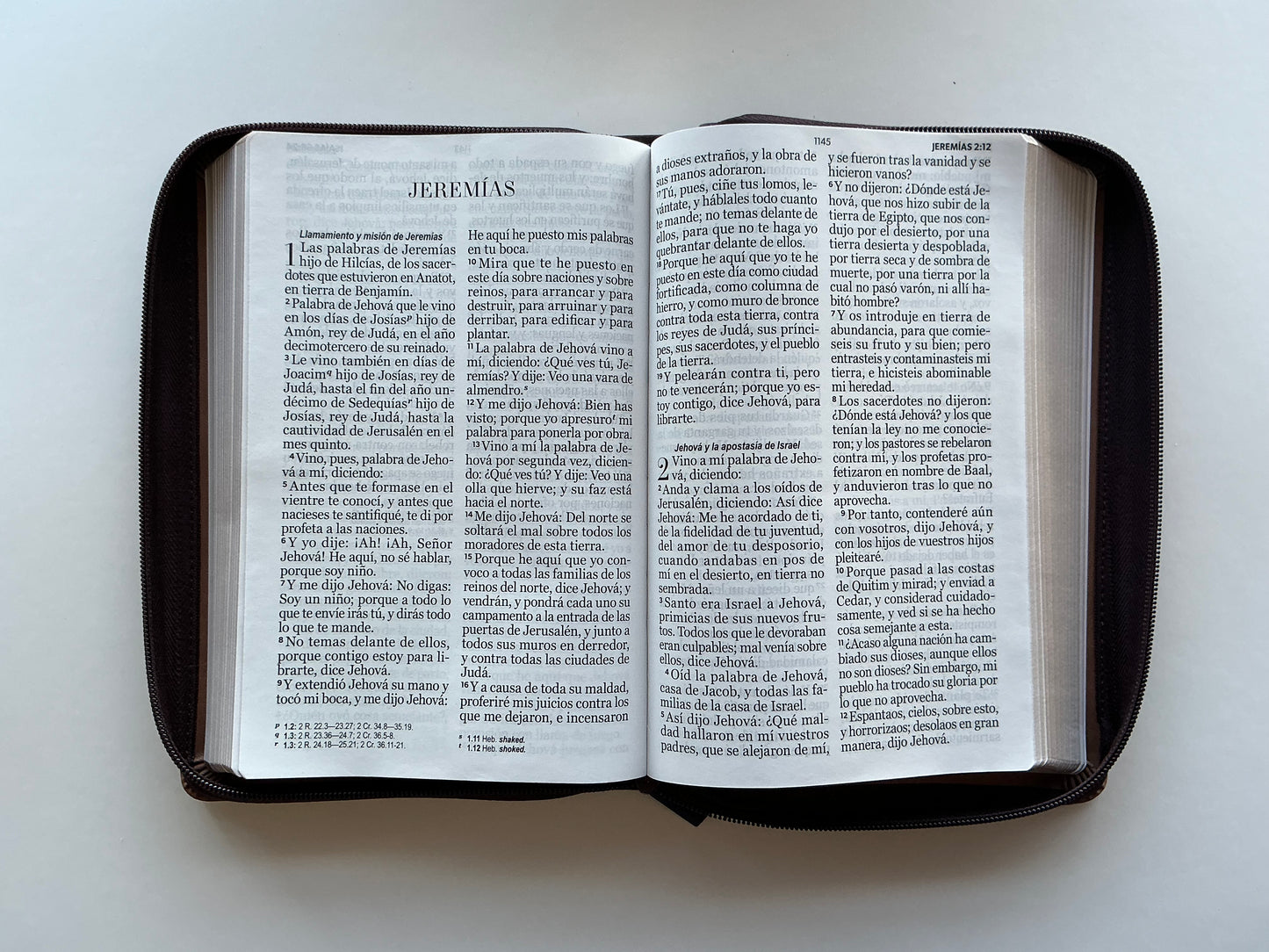 Biblia Letra Gigante 14 puntos
